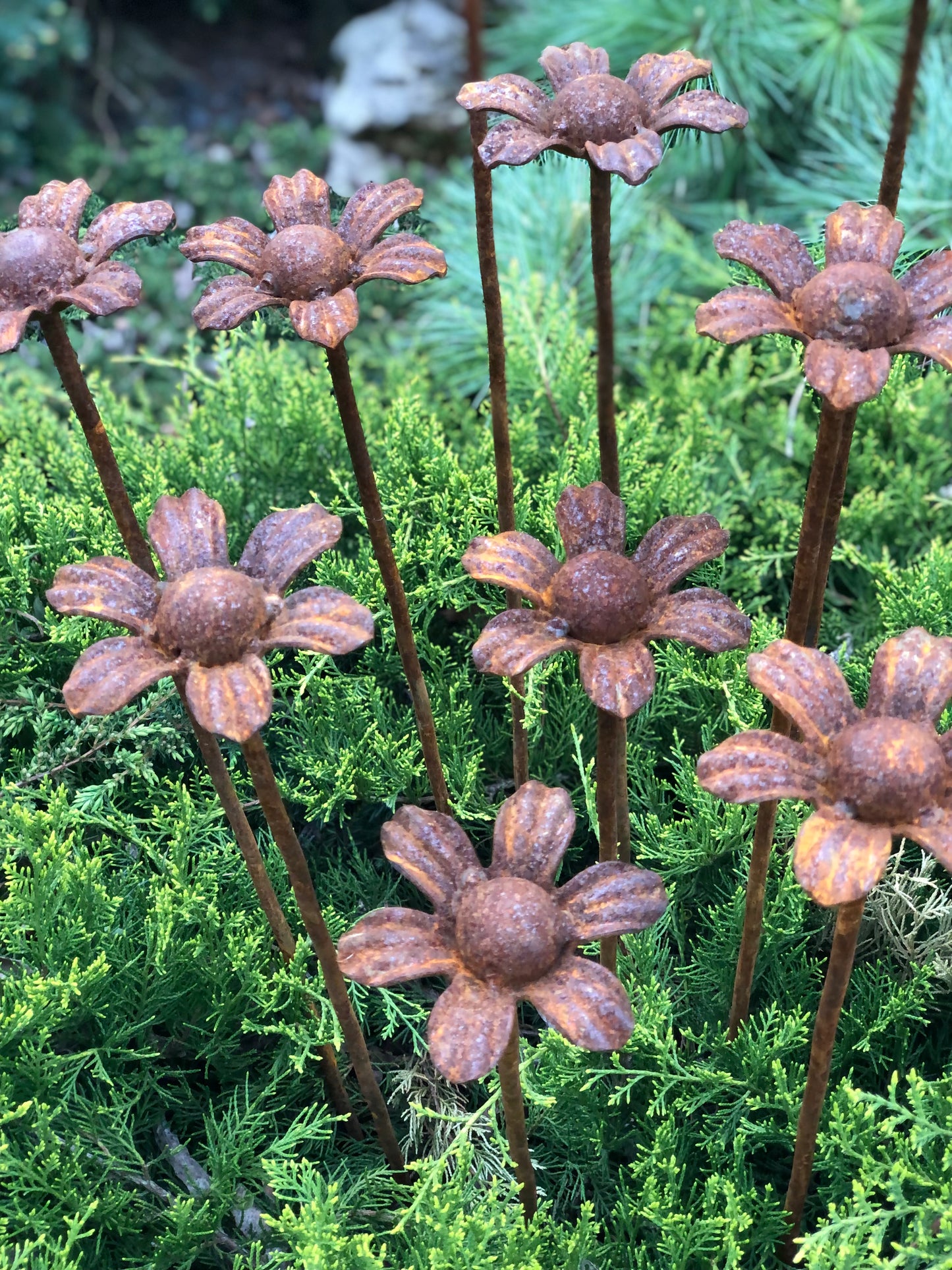 Rusty Flowers Set of 10, Garden Stakes, Metal Garden Decor, metal garden art, outdoor metal decor, rusty metal garden deco