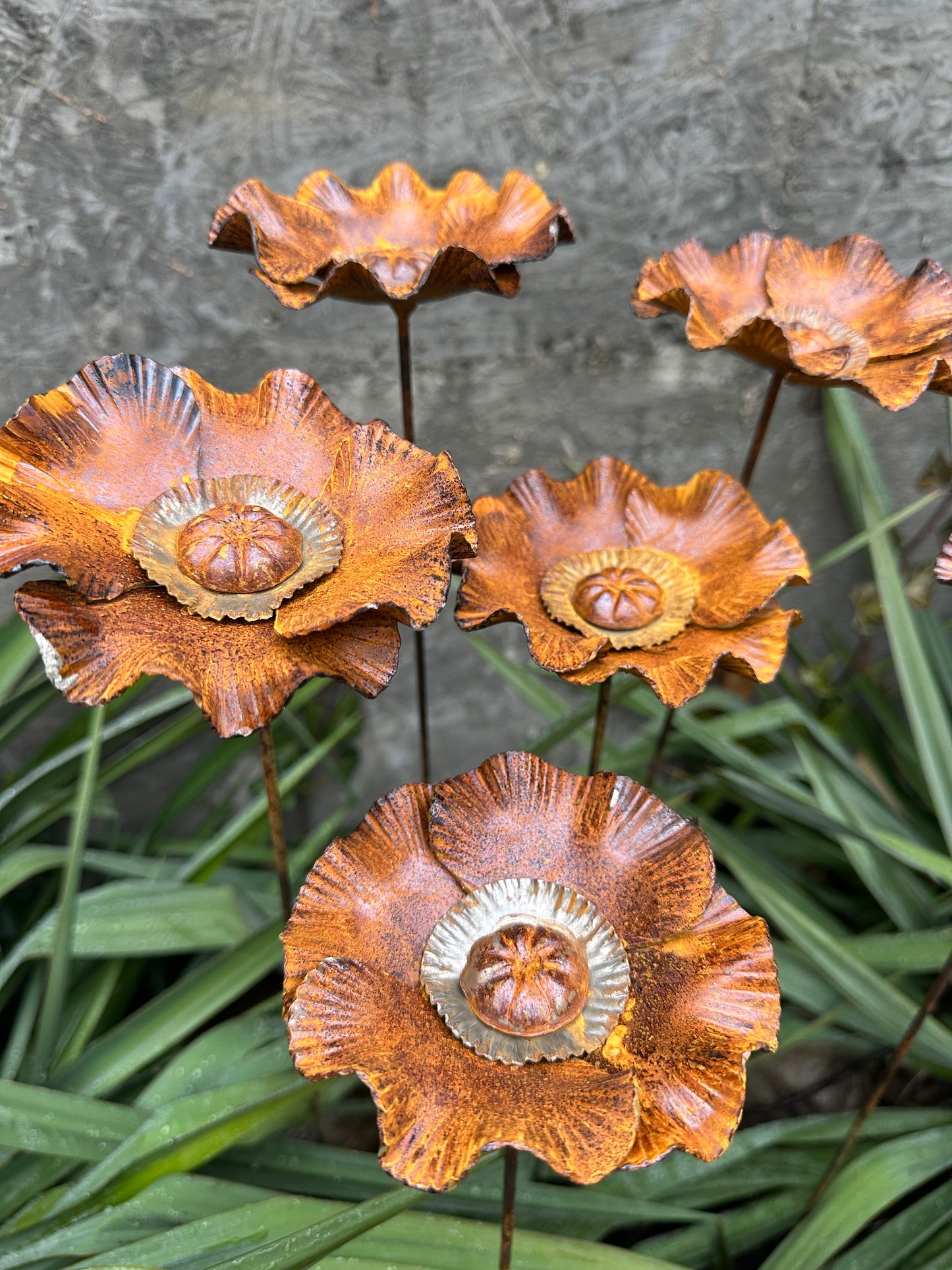 Rusty flowers set of 6, Poppy flowers garden stakes, Metal garden decor, metal yard art, outdoor metal decor, Rusty metal garden decor