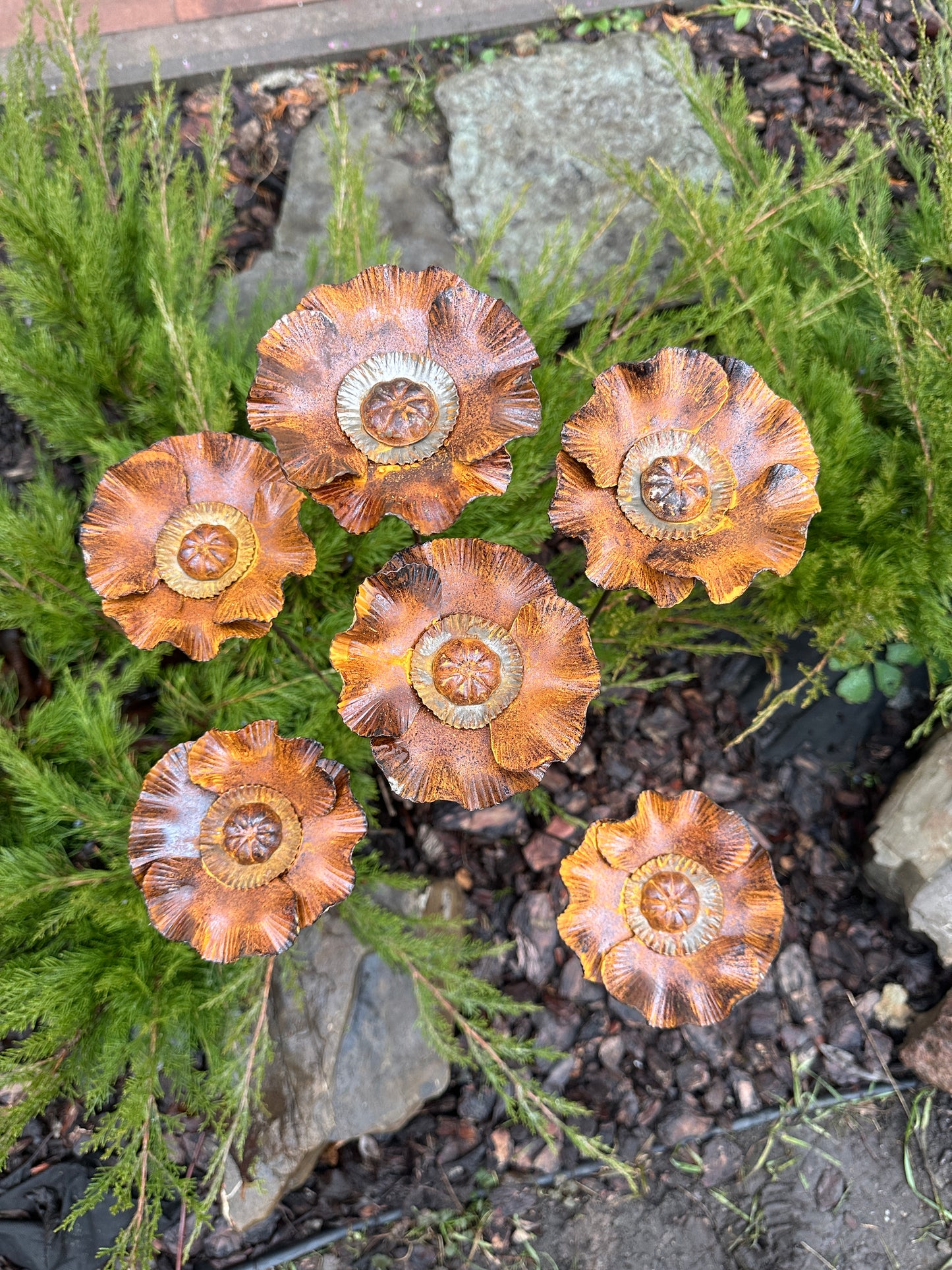 Rusty flowers set of 6, Poppy flowers garden stakes, Metal garden decor, metal yard art, outdoor metal decor, Rusty metal garden decor