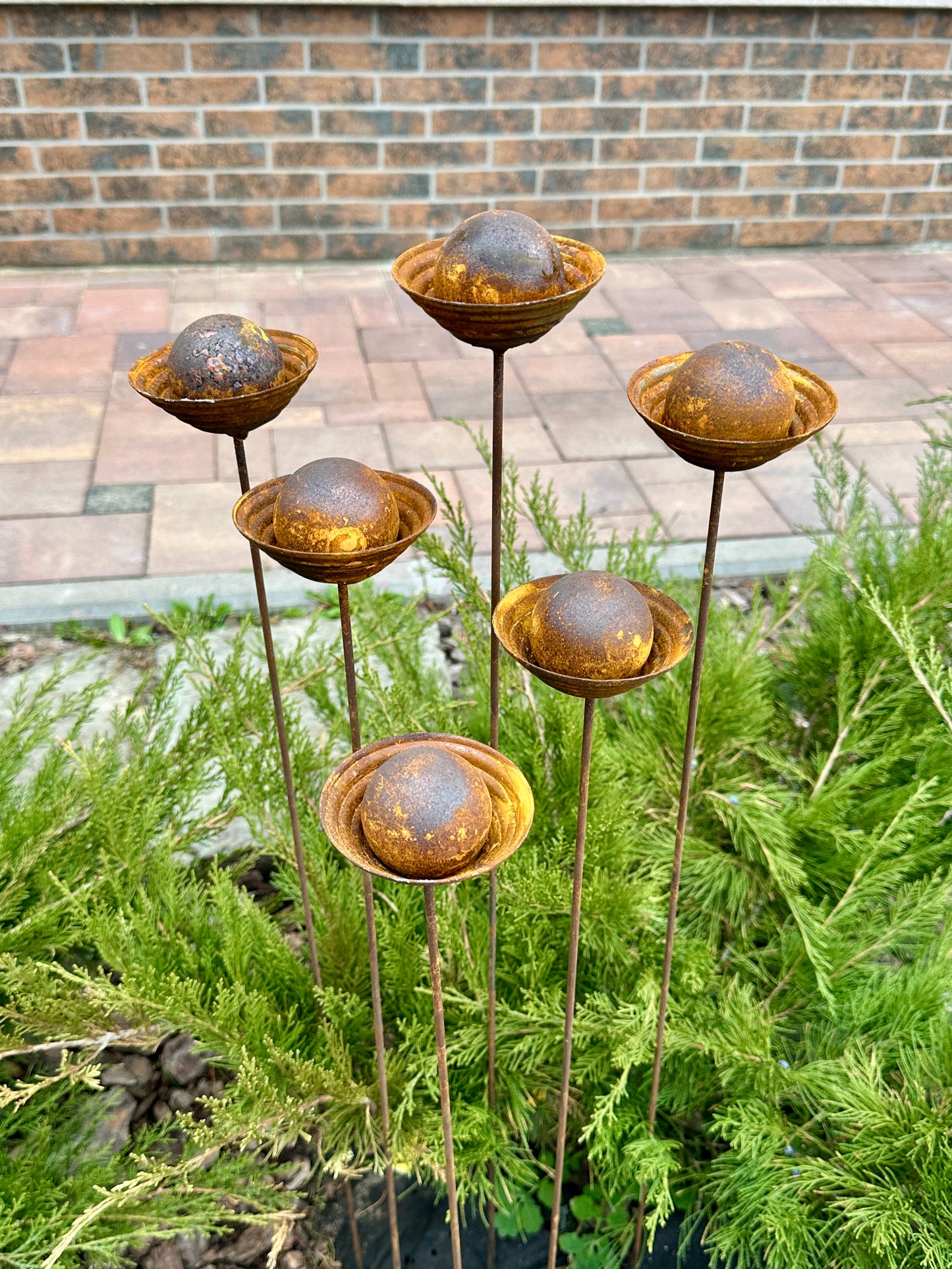 Rusty flower buds set of 6, Metal Rain Catchers, Bee Cups Outdoor Garden Decoration, Bees Garden Decoration, Water Station, Garden Stakes
