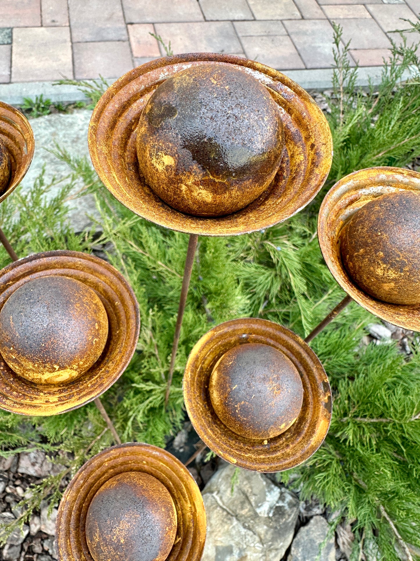 Rusty flower buds set of 6, Metal Rain Catchers, Bee Cups Outdoor Garden Decoration, Bees Garden Decoration, Water Station, Garden Stakes