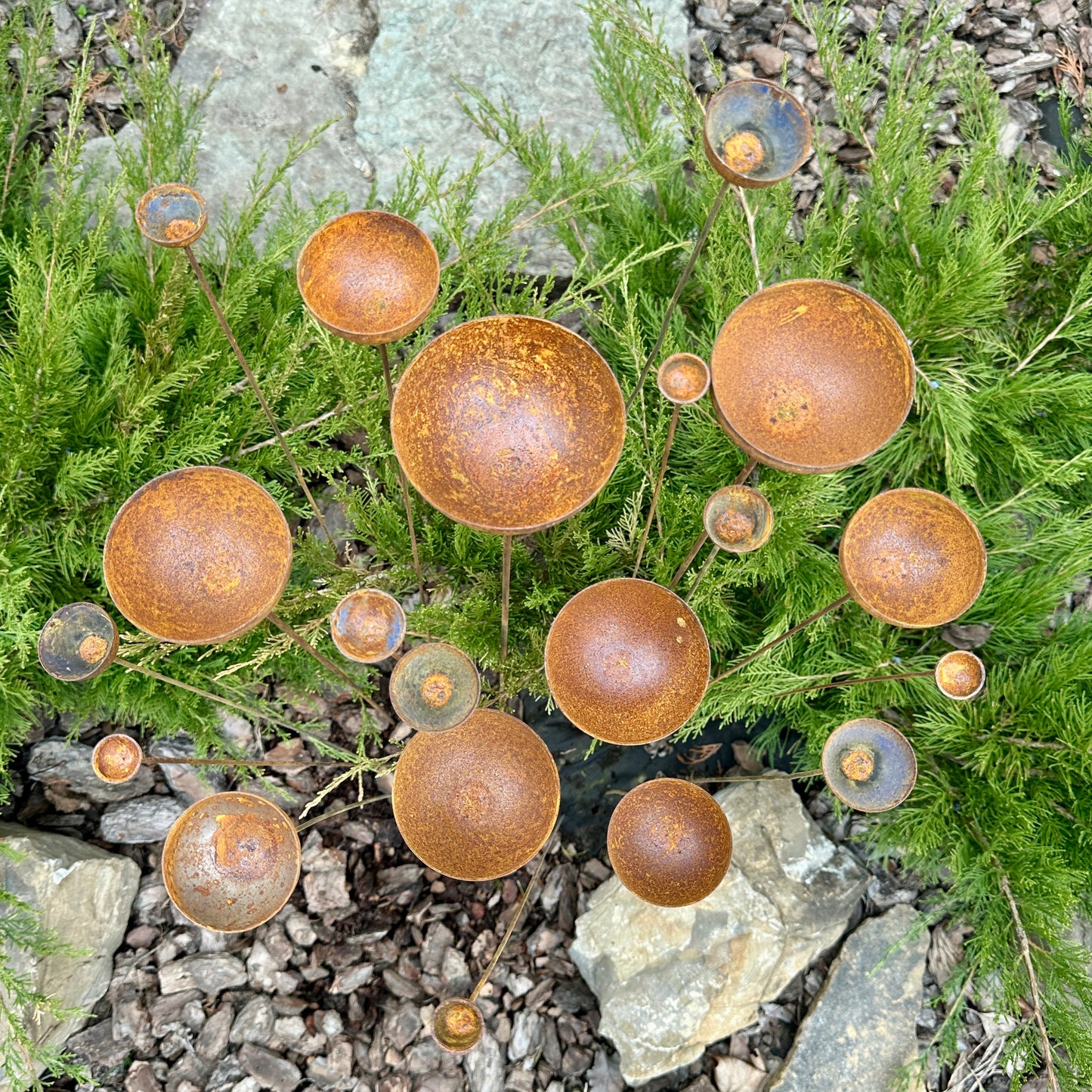 Rusty Flowers Set of 20, Metal Rain Catcher, Outdoor Metal Decor, Rusty Metal Garden Stakes, Flower Garden Art, Rustic Metal Yard Decor