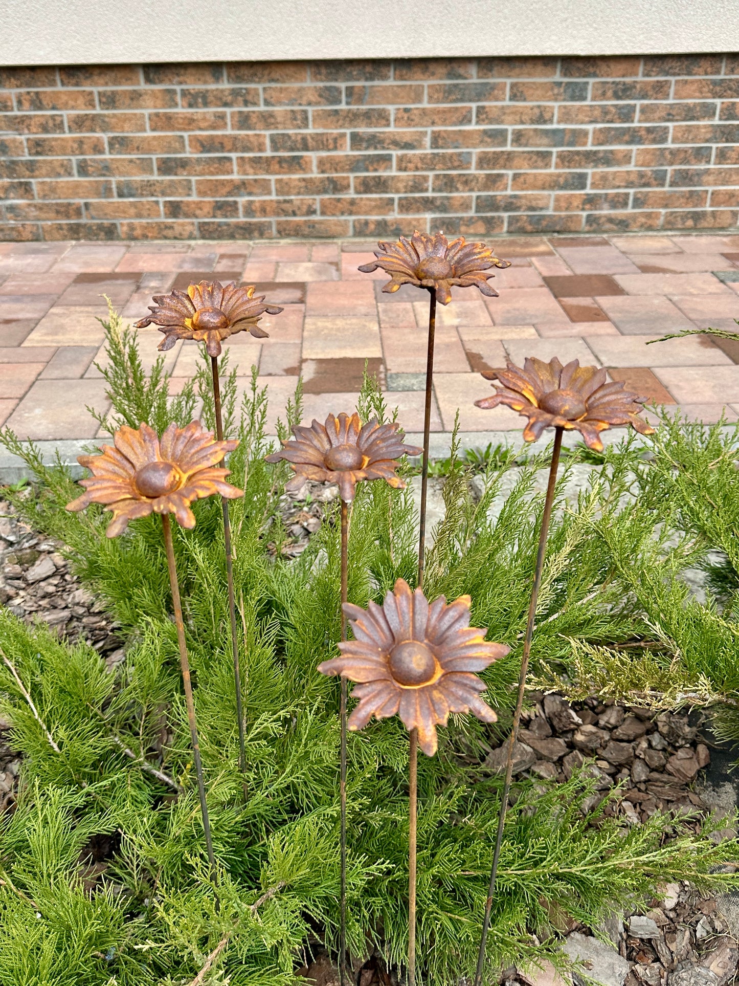 Metal garden decor, Rusty flowers set of 6, 6 Rusty flowers garden stakes, metal yard art, outdoor metal decor, Rusty metal garden decor