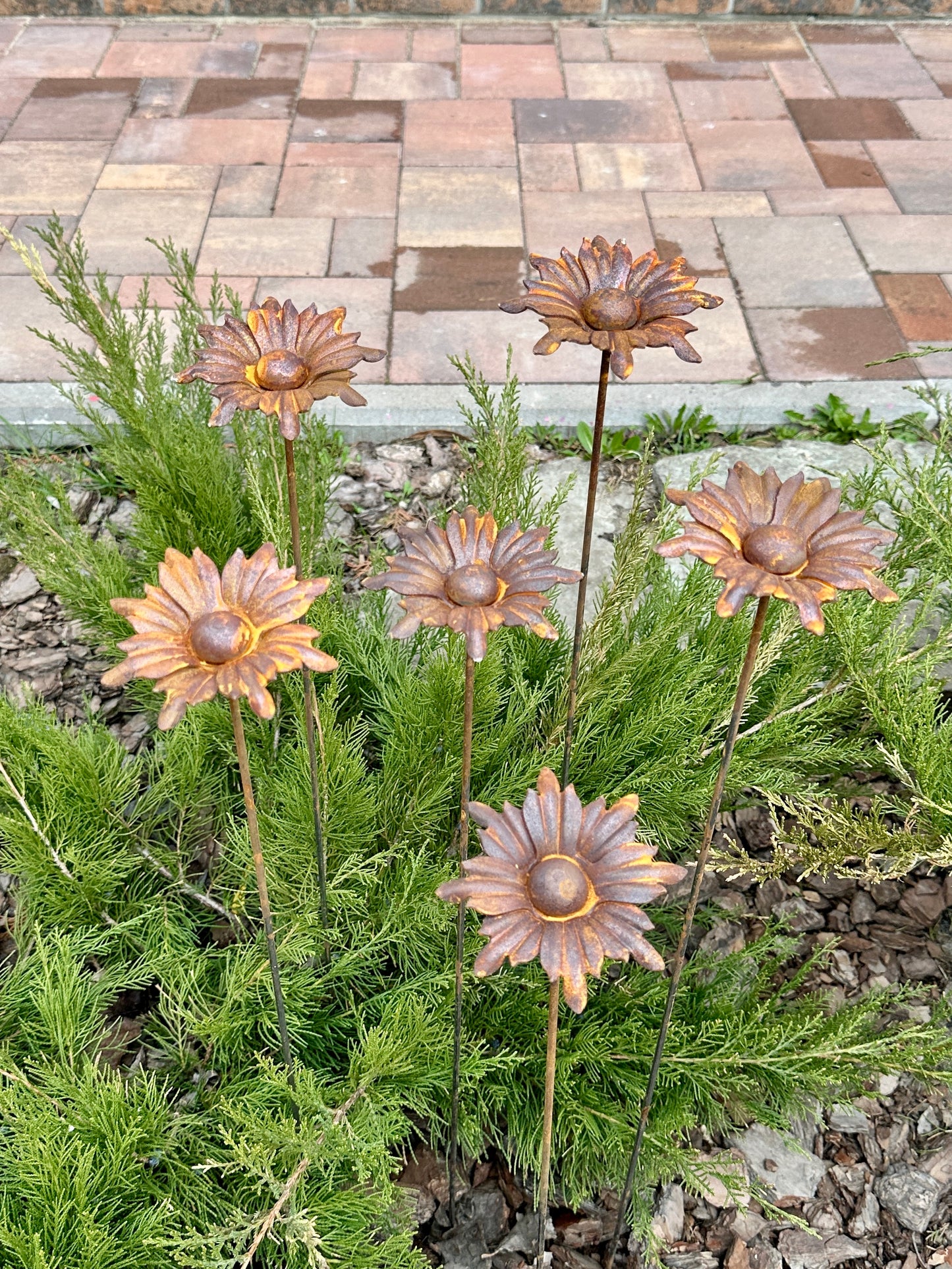 Metal garden decor, Rusty flowers set of 6, 6 Rusty flowers garden stakes, metal yard art, outdoor metal decor, Rusty metal garden decor
