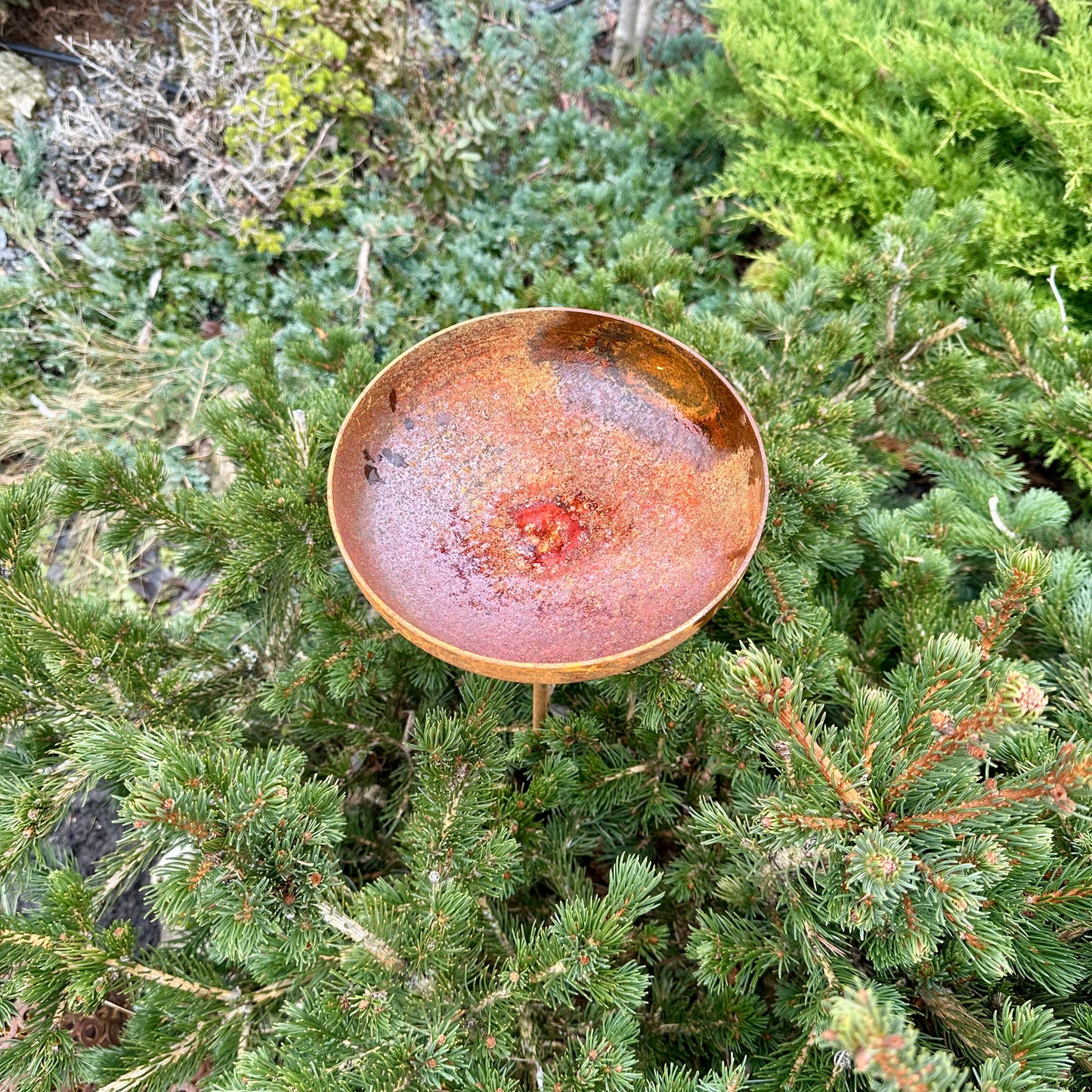 Rain catcher, 8” Rusty metal flower garden stakes, Bird bath outdoor garden decor