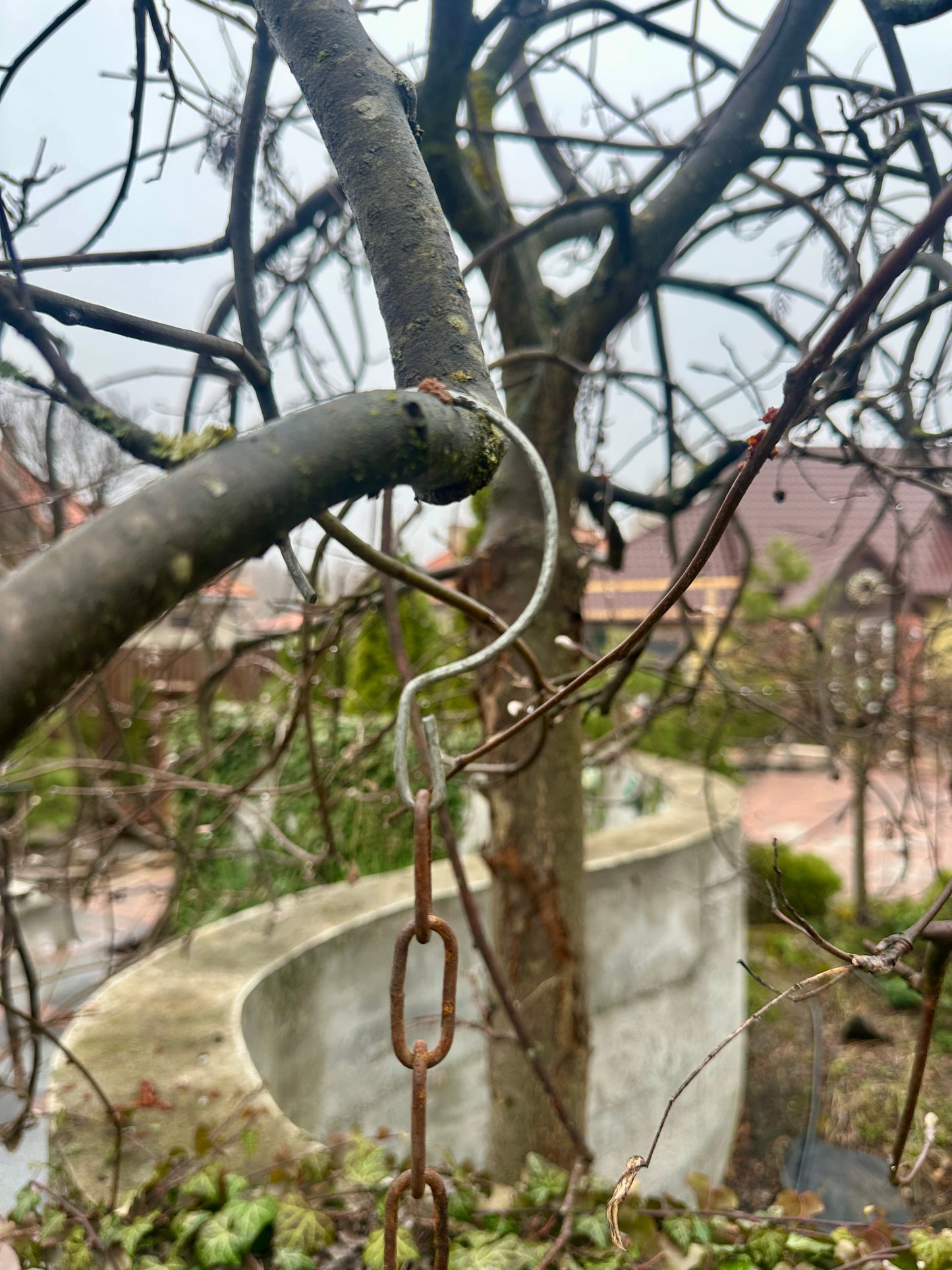 Modern Rusty Metal Bird Feeders, Bird Perch, Outdoor Garden Decor, Bird Snack Bowl, Rustic Garden Ornaments, Metal Bird Seedbed
