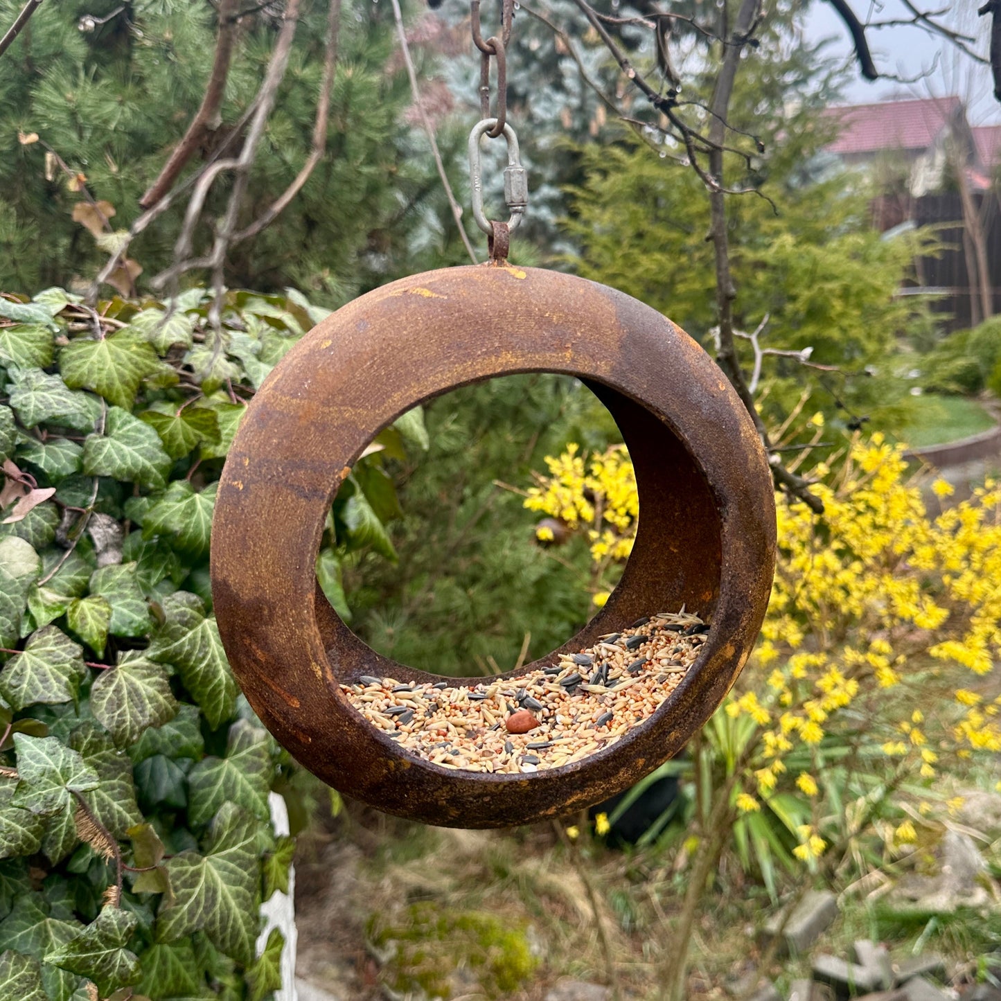 Rusty Bird Feeder, Modern Rusty Metal Bird Feeders, Bird Snack Bowl, Outdoor Garden Decor, Bird Perch, Metal Garden Decor, Yard Art