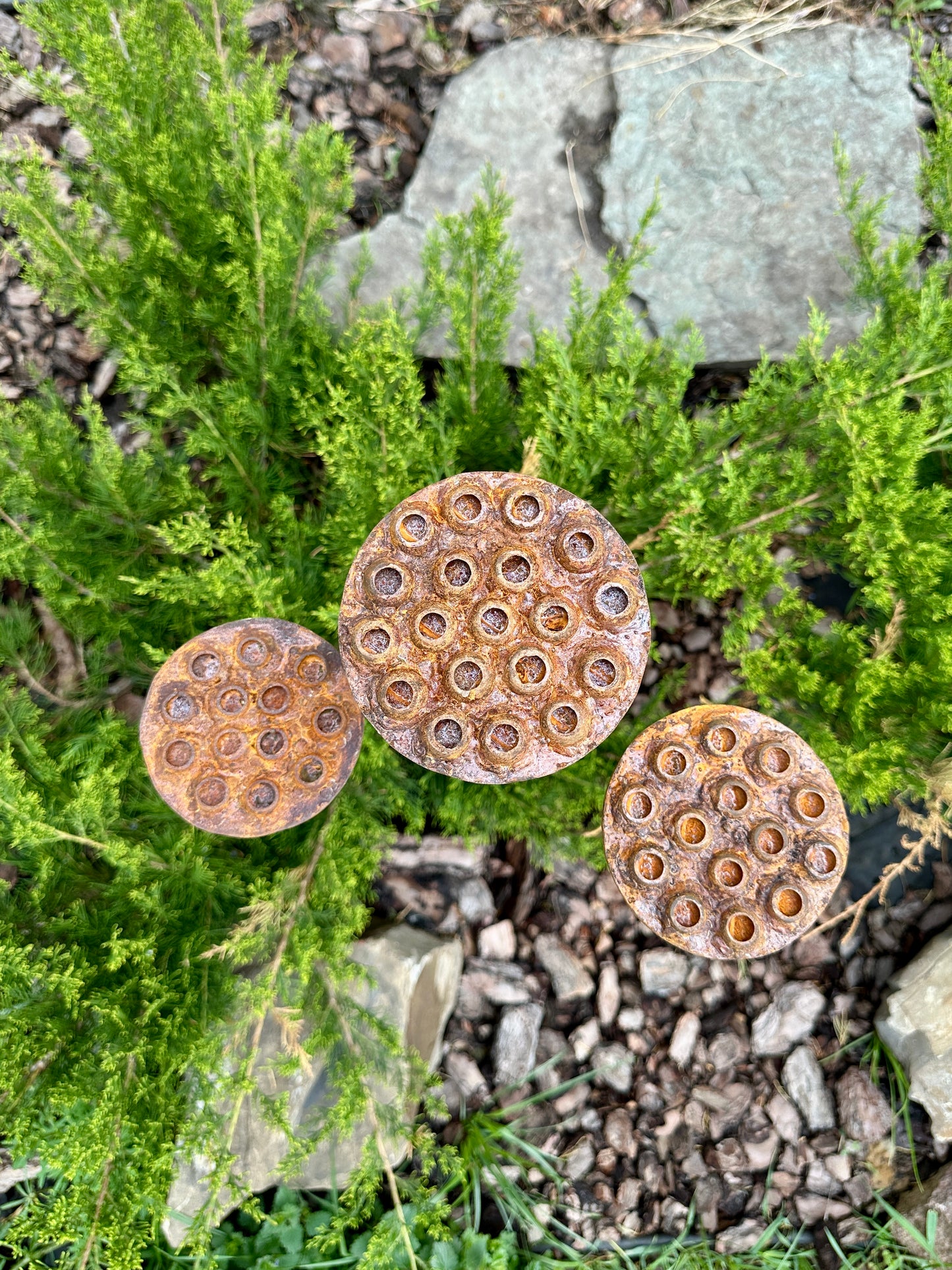 Set of 3 Rustic Metal Lotus Flowers, Garden Decorations, Handmade Sculptures, Rustic Landscaping, Garden Art, Bee and Butterflies Cups