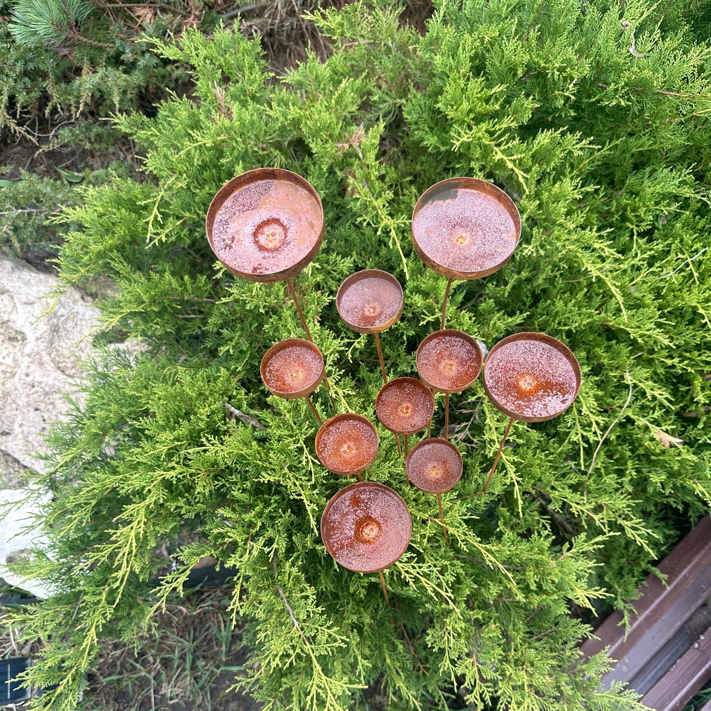 Rusty flowers set of 10, Metal rain catchers, yard art, outdoor metal decor, Rusty metal garden stakes