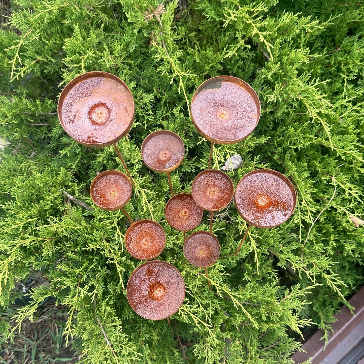 Rusty flowers set of 10, Metal rain catchers, yard art, outdoor metal decor, Rusty metal garden stakes