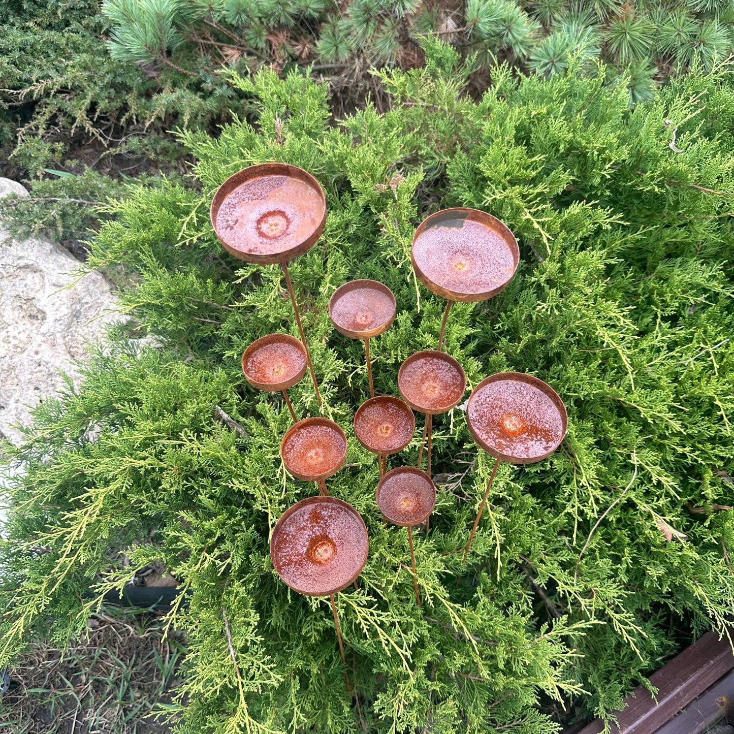 Rusty flowers set of 10, Metal rain catchers, yard art, outdoor metal decor, Rusty metal garden stakesRusty flowers set of 10, Metal rain catchers, yard art, outdoor metal decor, Rusty metal garden stakes