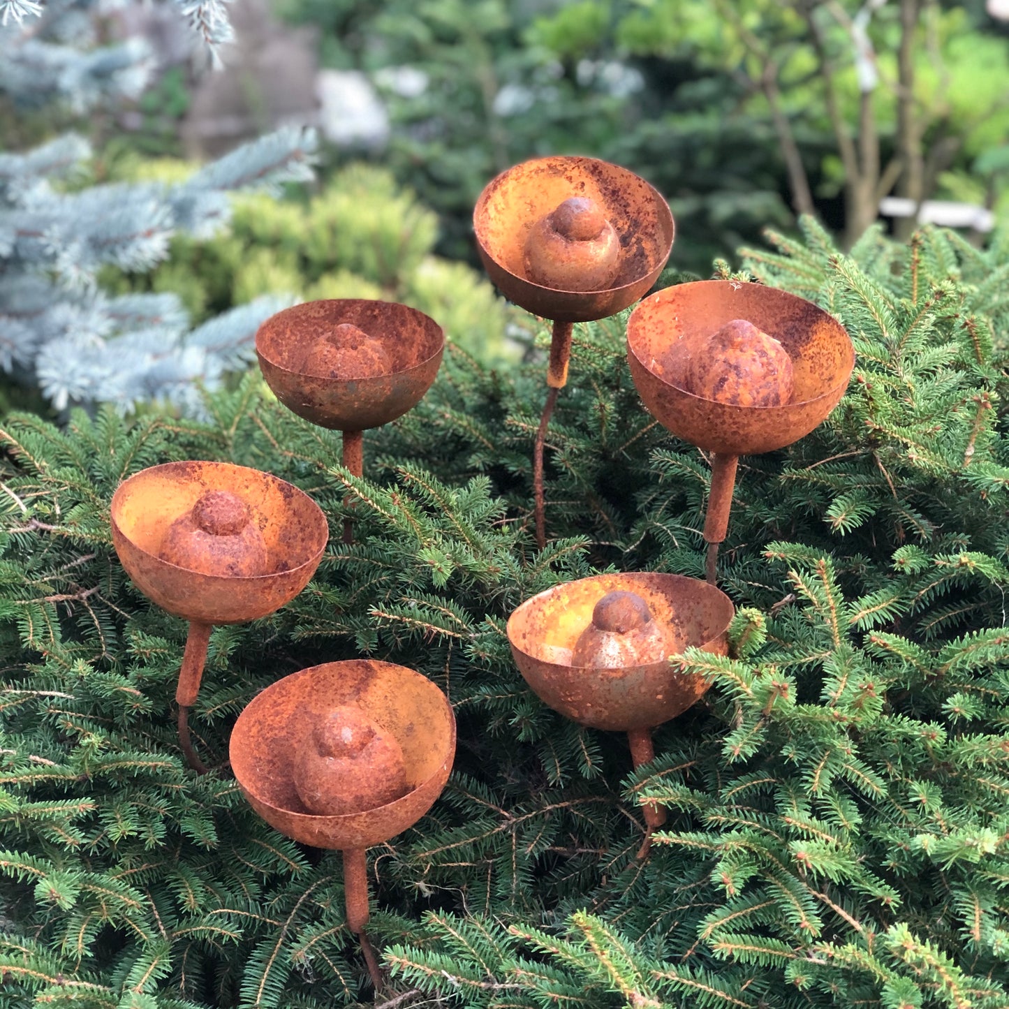 Rusty flowers set of 6, Metal garden decor, 6 Rusty flowers garden stakes, metal yard art, outdoor metal decor, Rusty metal rain catchers