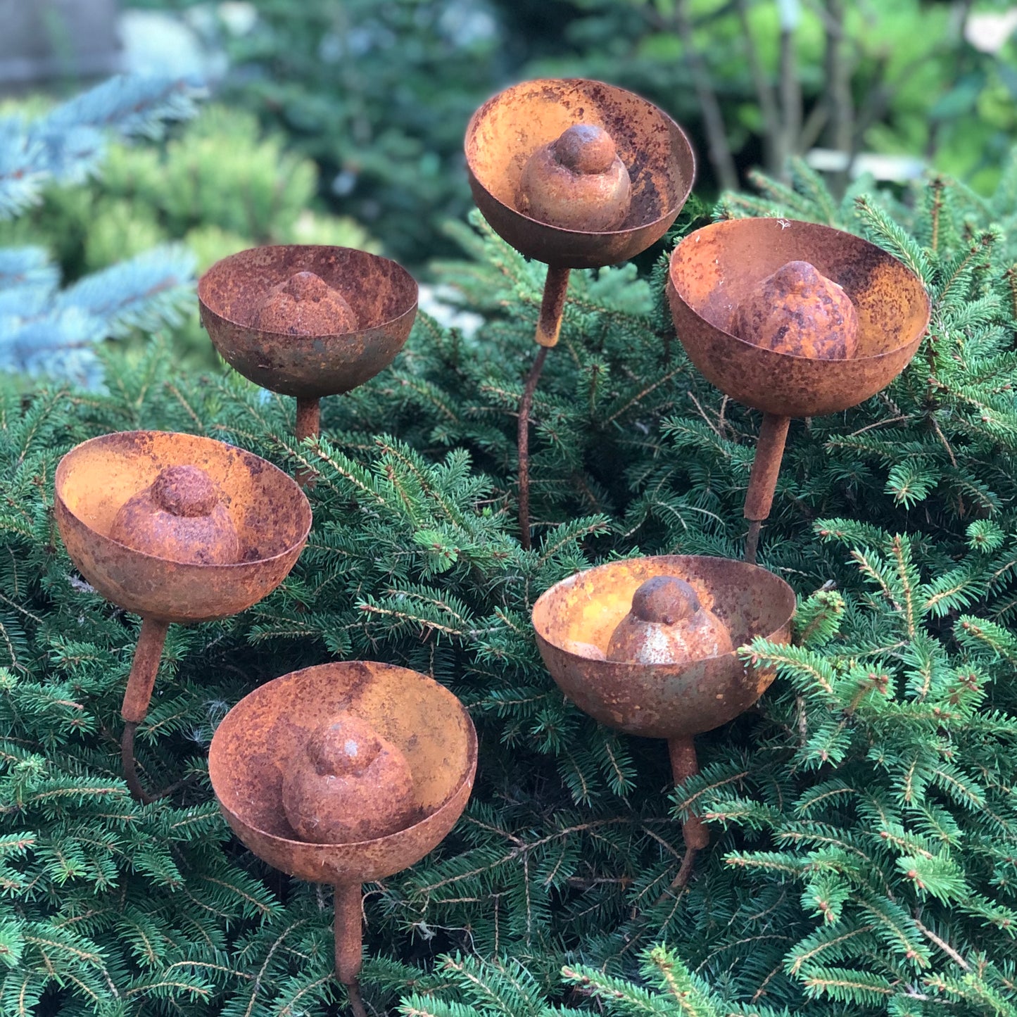 Rusty flowers set of 6, Metal garden decor, 6 Rusty flowers garden stakes, metal yard art, outdoor metal decor, Rusty metal rain catchers