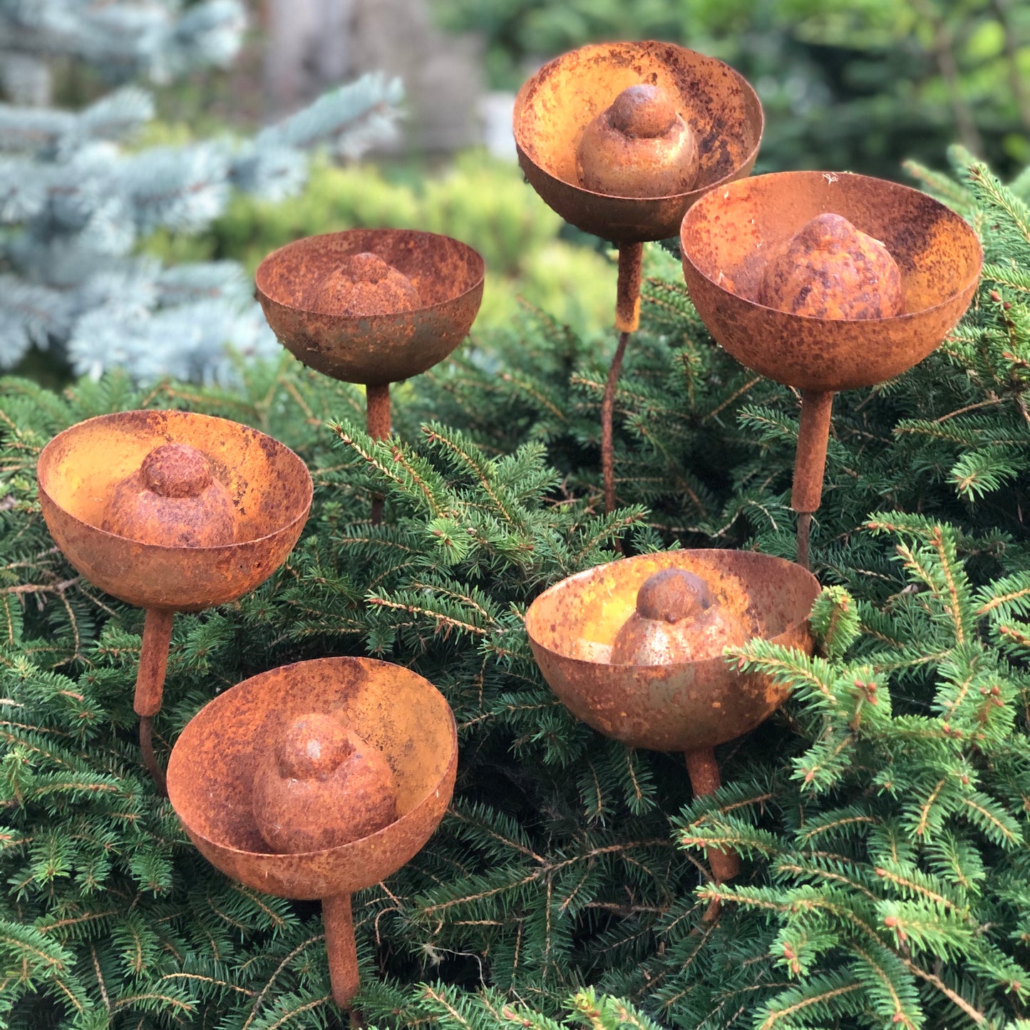 Rusty flowers set of 6, Metal garden decor, 6 Rusty flowers garden stakes, metal yard art, outdoor metal decor, Rusty metal rain catchers