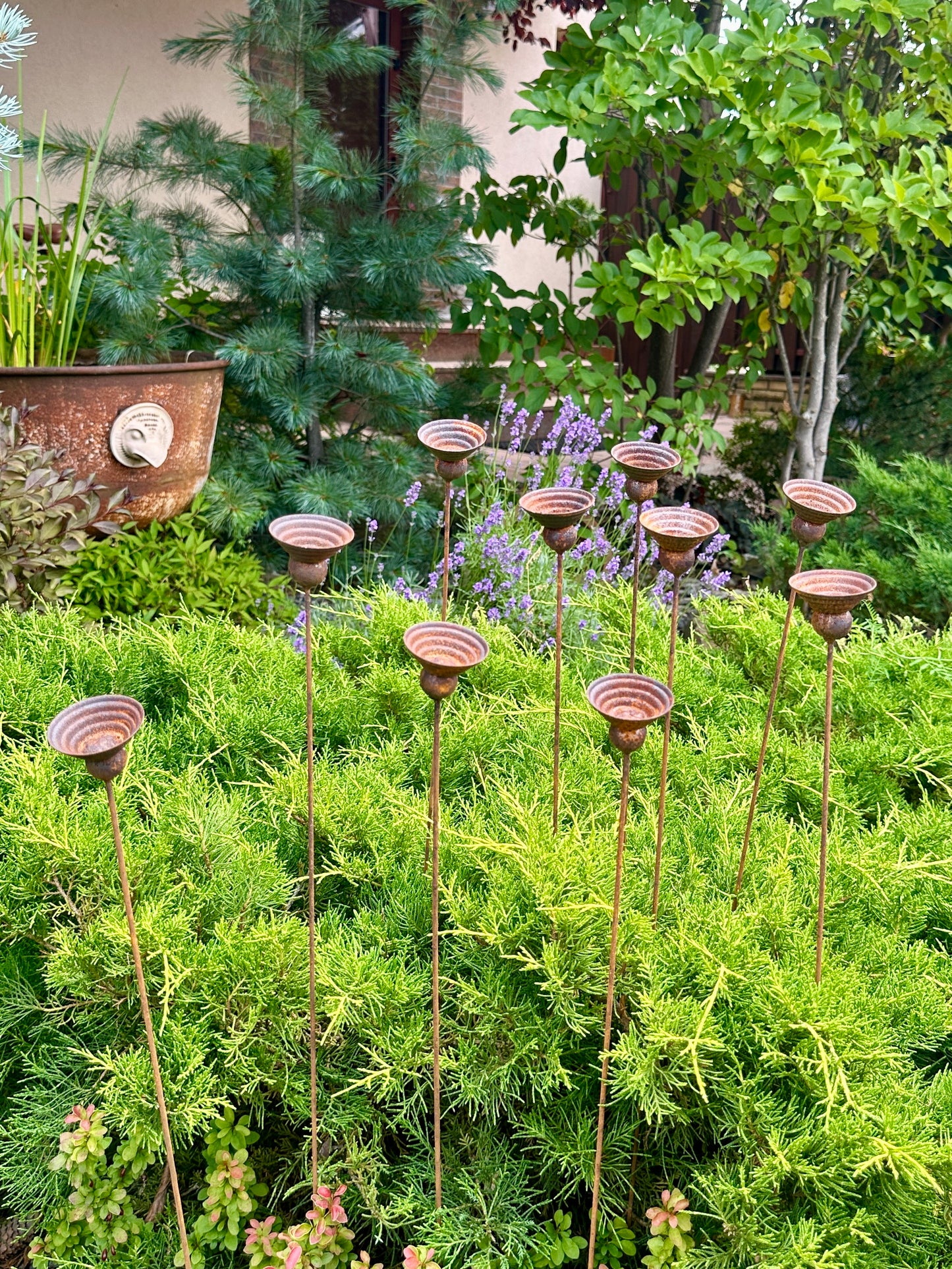 Rusty Metal Flowers Set of 10, Garden Decor, Handmade Outdoor Stakes, Rustic Yard Art, Landscaping Accents, Bee Butterfly Water Cups