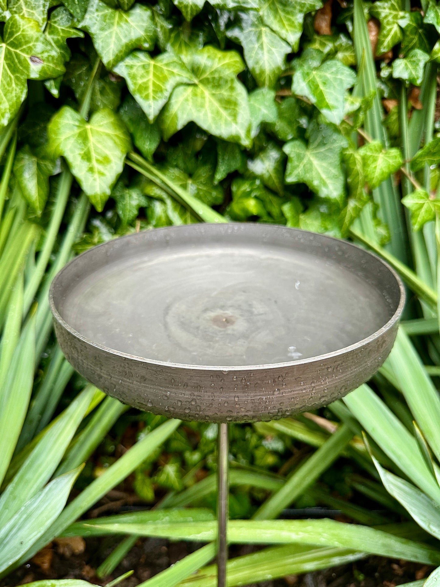 8” Rain Catcher, Stainless Steel Collector, Bird Bath, Feeder & Water Bowl, Garden Stakes, Yard Art, Unique Garden Decor, Weathered Accent