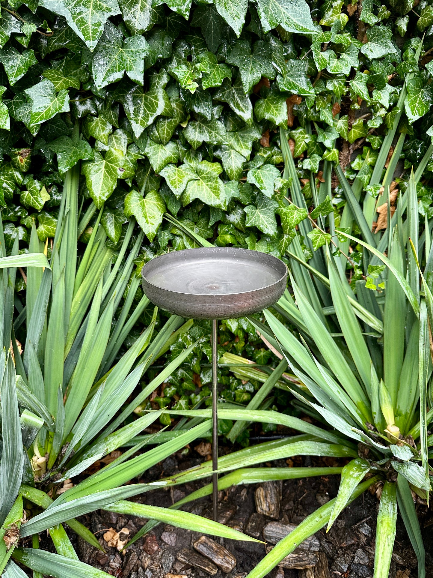 8” Rain Catcher, Stainless Steel Collector, Bird Bath, Feeder & Water Bowl, Garden Stakes, Yard Art, Unique Garden Decor, Weathered Accent
