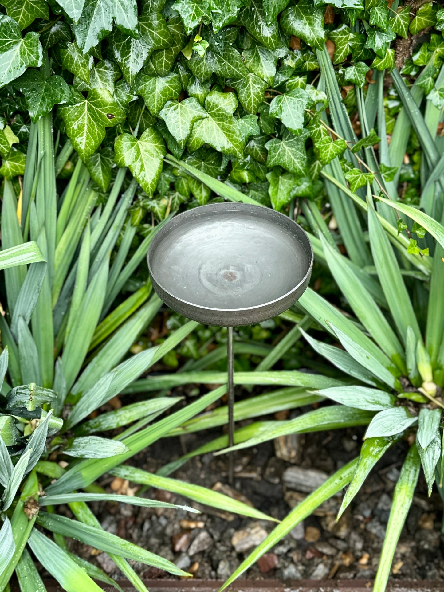 8” Rain Catcher, Stainless Steel Collector, Bird Bath, Feeder & Water Bowl, Garden Stakes, Yard Art, Unique Garden Decor, Weathered Accent