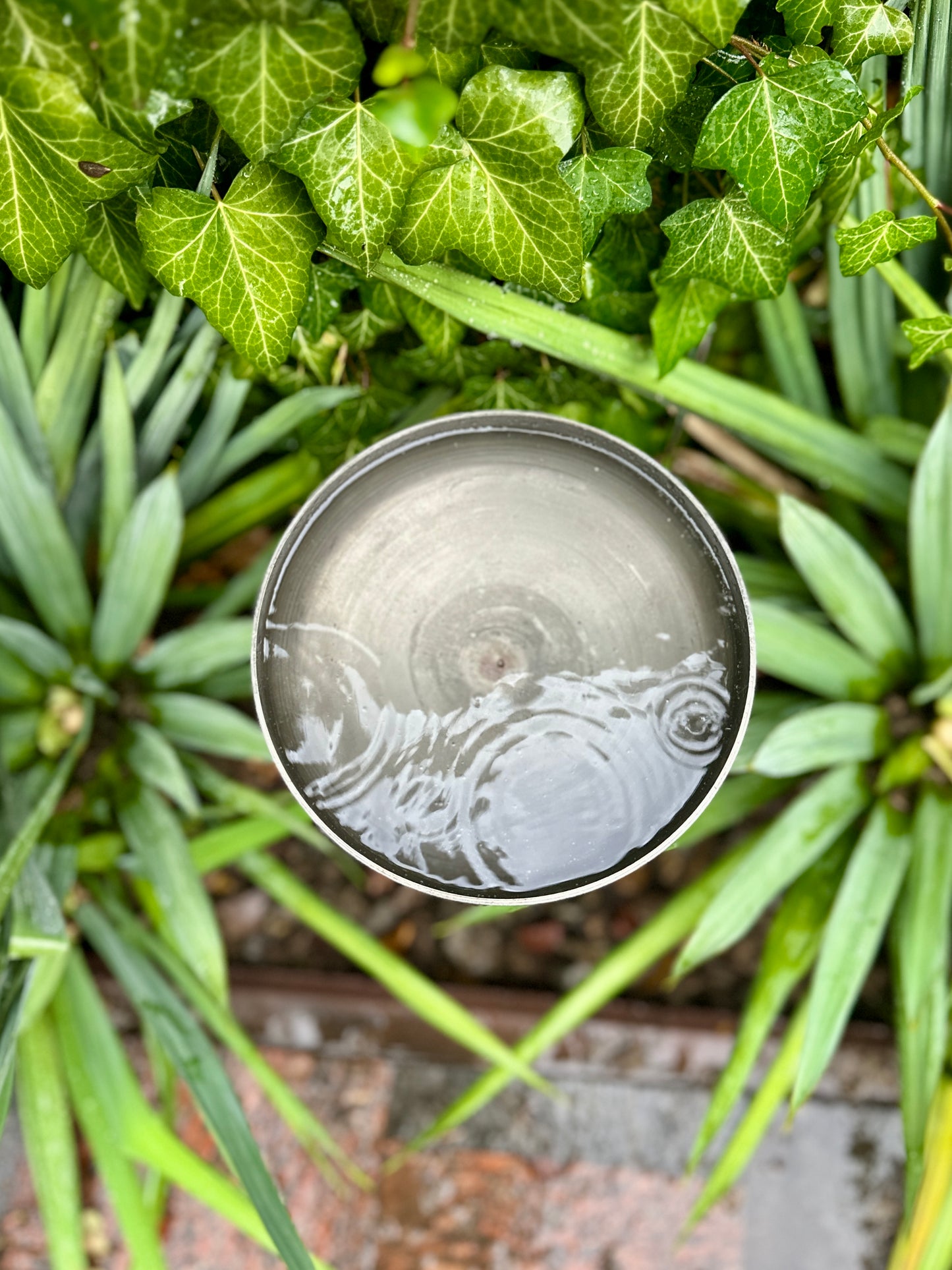 8” Rain Catcher, Stainless Steel Collector, Bird Bath, Feeder & Water Bowl, Garden Stakes, Yard Art, Unique Garden Decor, Weathered Accent