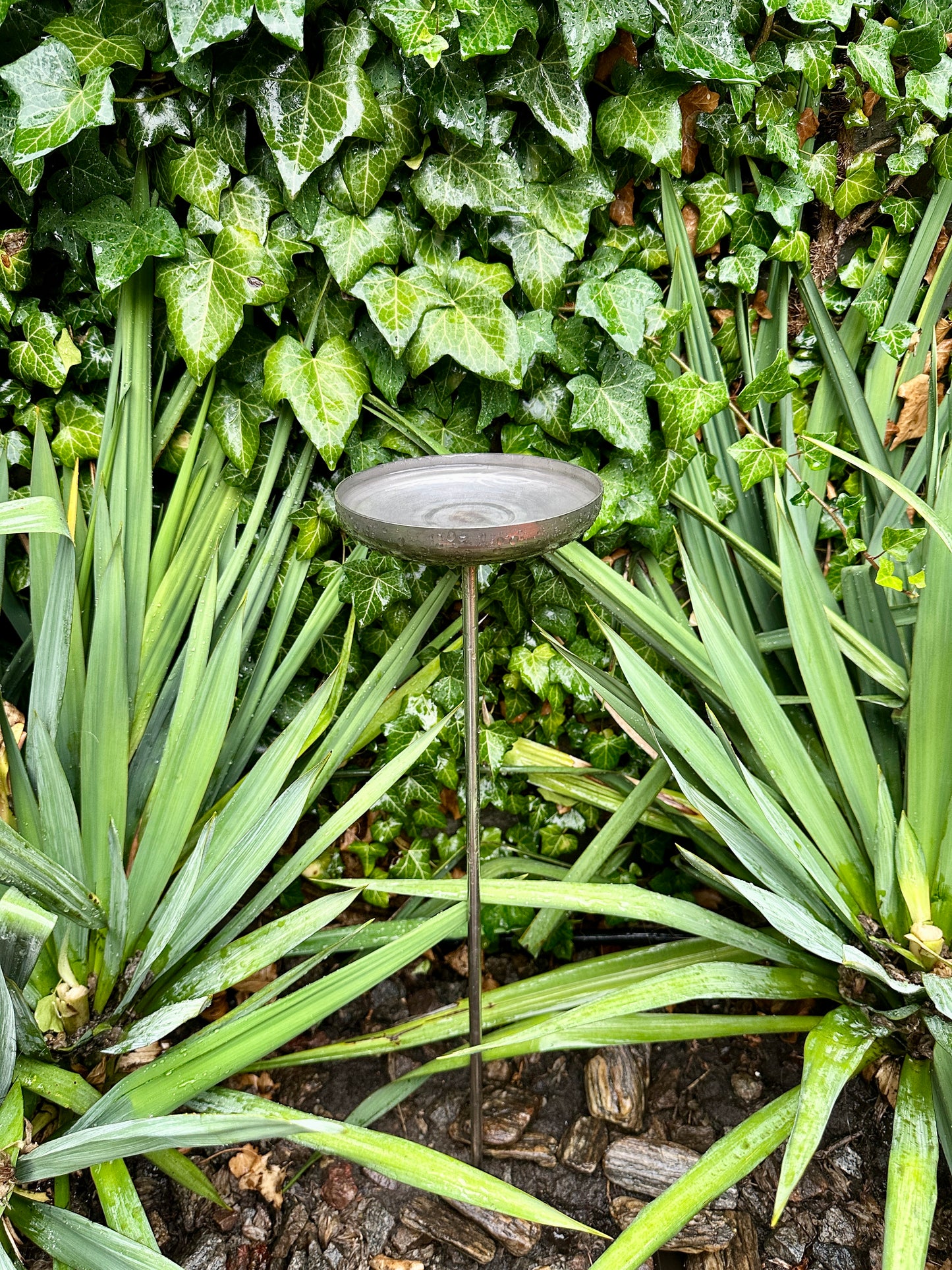 6” Rain Catcher, Stainless Steel Collector, Bird Bath, Feeder & Water Bowl, Garden Stakes, Yard Art, Unique Garden Decor, Weathered Accent
