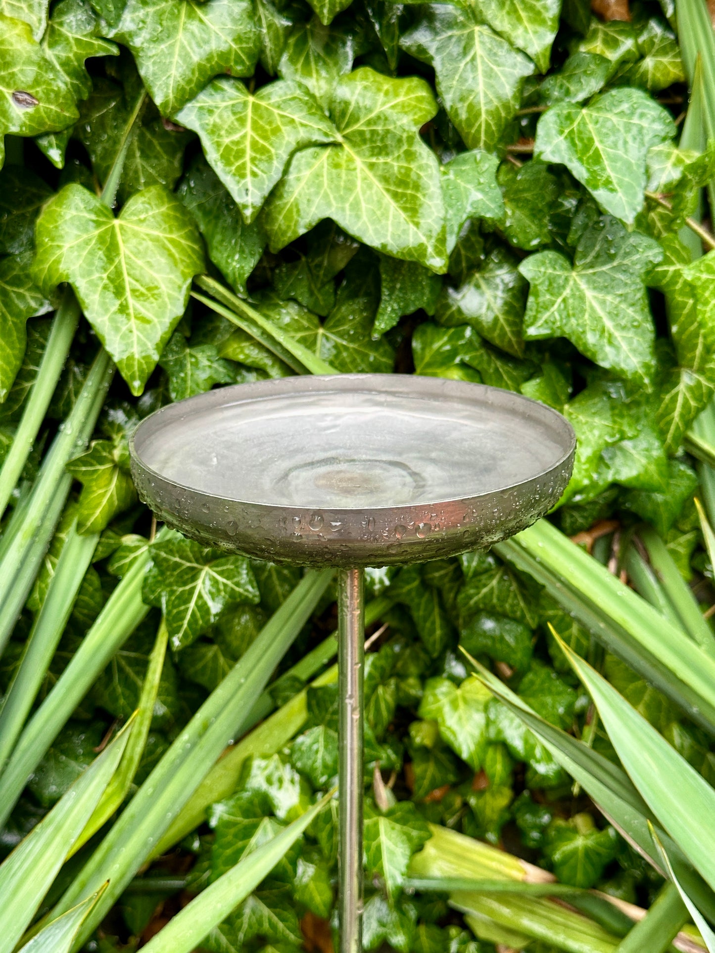 6” Rain Catcher, Stainless Steel Collector, Bird Bath, Feeder & Water Bowl, Garden Stakes, Yard Art, Unique Garden Decor, Weathered Accent
