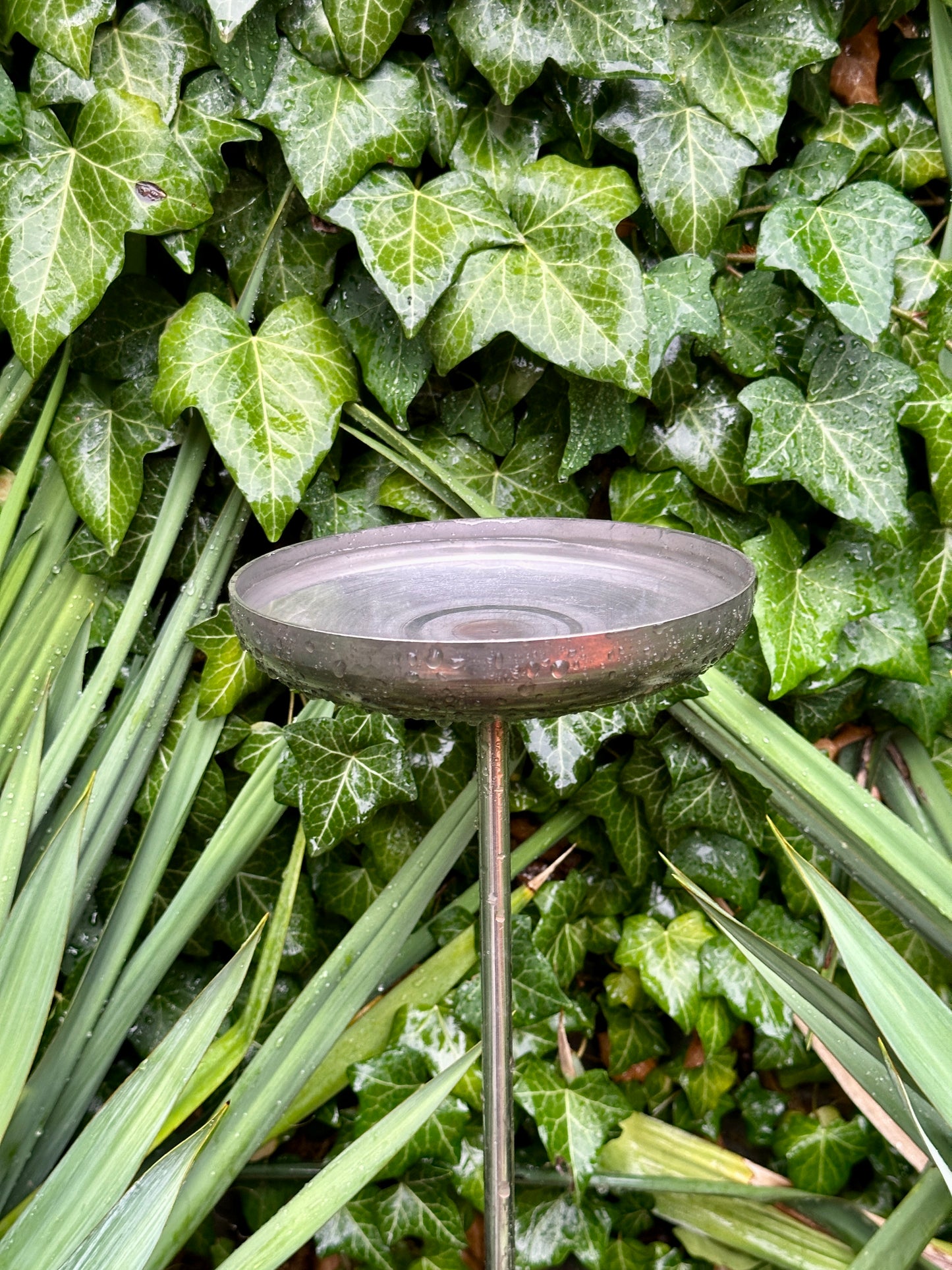 6” Rain Catcher, Stainless Steel Collector, Bird Bath, Feeder & Water Bowl, Garden Stakes, Yard Art, Unique Garden Decor, Weathered Accent