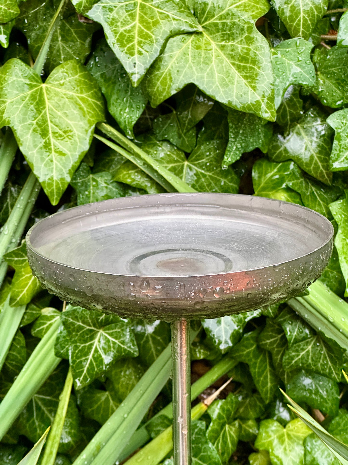 6” Rain Catcher, Stainless Steel Collector, Bird Bath, Feeder & Water Bowl, Garden Stakes, Yard Art, Unique Garden Decor, Weathered Accent