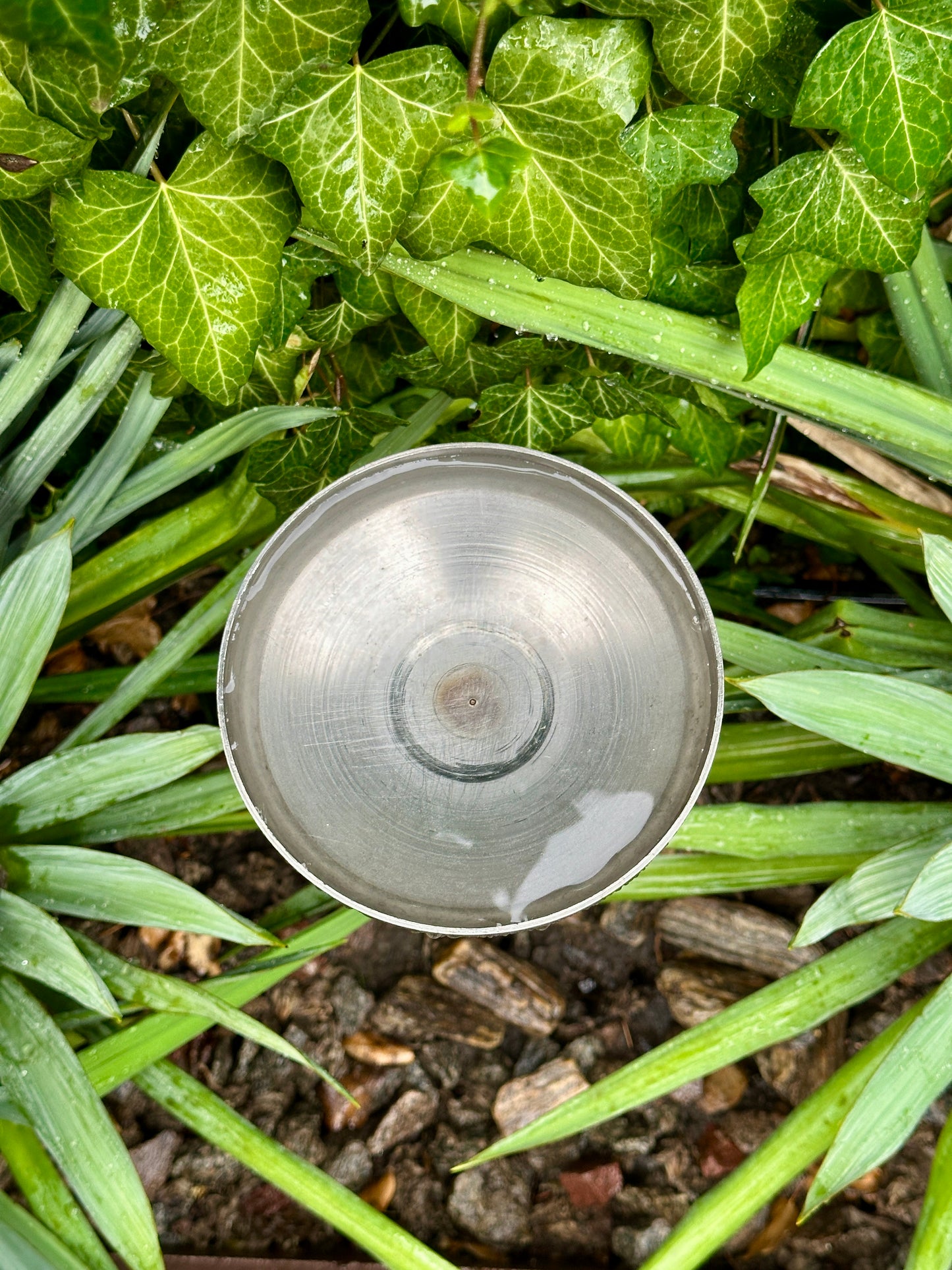 6” Rain Catcher, Stainless Steel Collector, Bird Bath, Feeder & Water Bowl, Garden Stakes, Yard Art, Unique Garden Decor, Weathered Accent