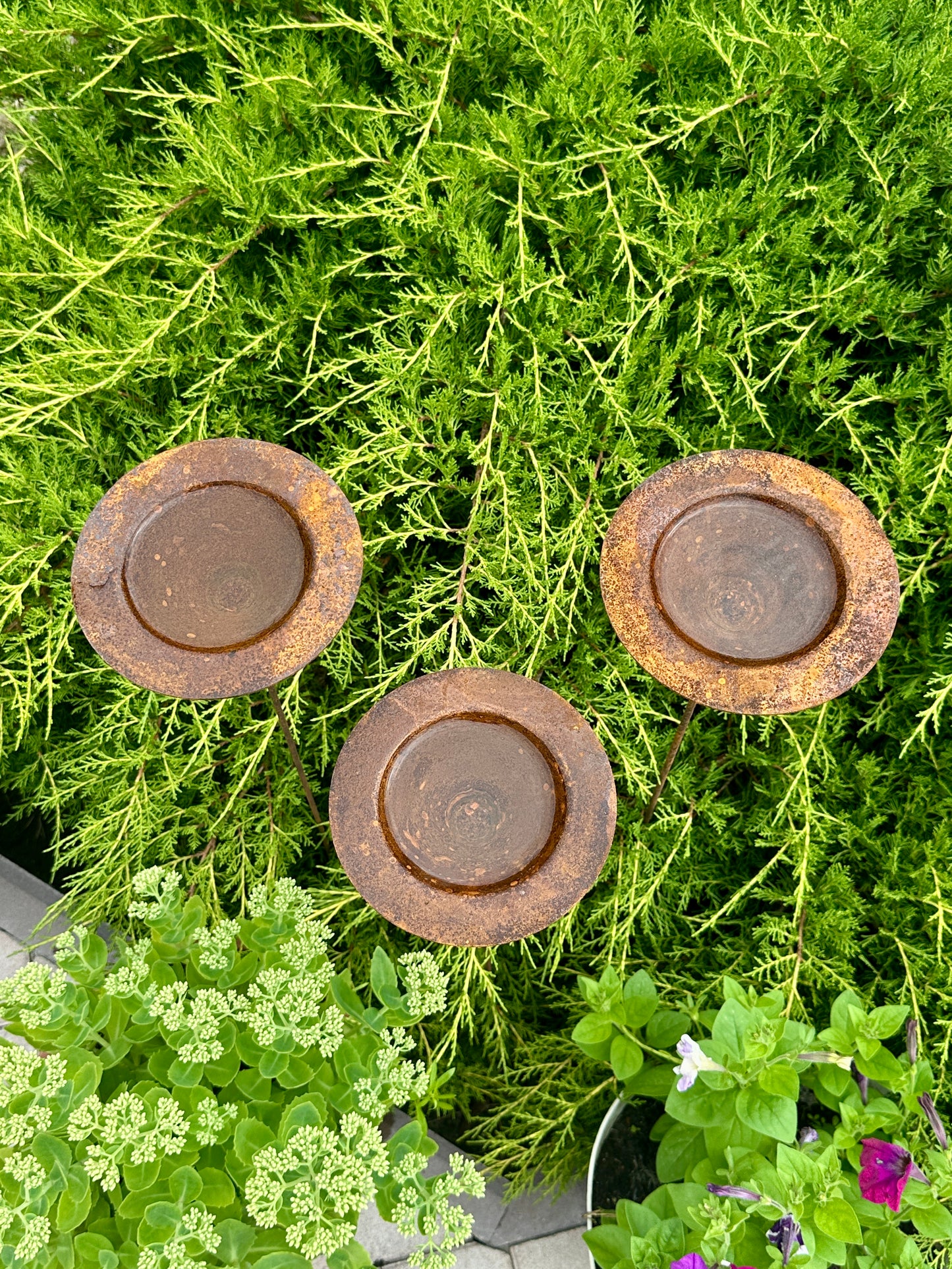 Set of 3 Rusty Metal Flowers, Garden Decorations, Handmade Outdoor Decor for Backyards, Rustic Landscaping, Garden Art, Bee Butterfly Cups