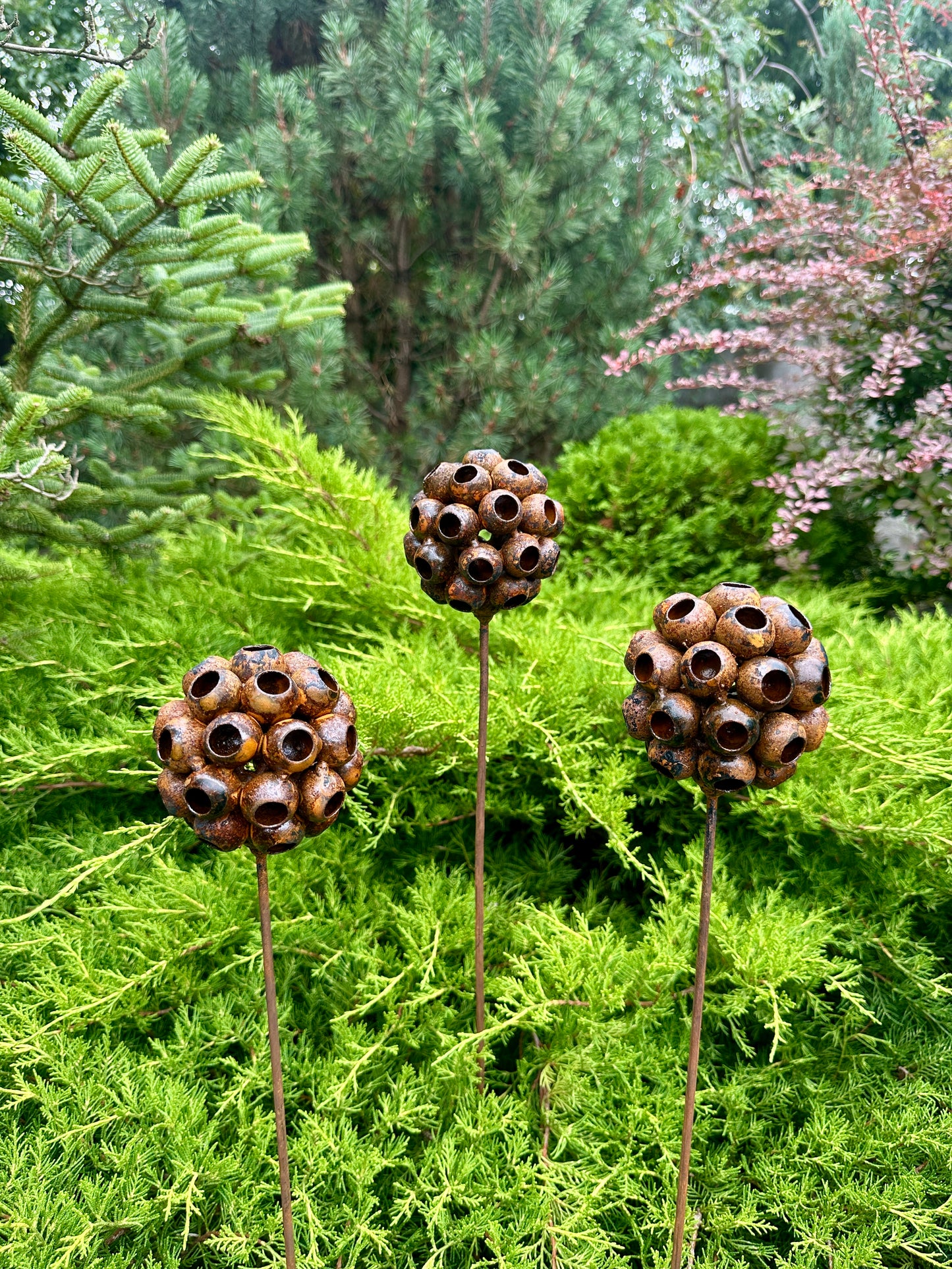 Set of 3 Rustic Metal Exotic Flowers, Garden Decorations, Rustic Landscaping, Garden Art, Bee and Butterflies Cups