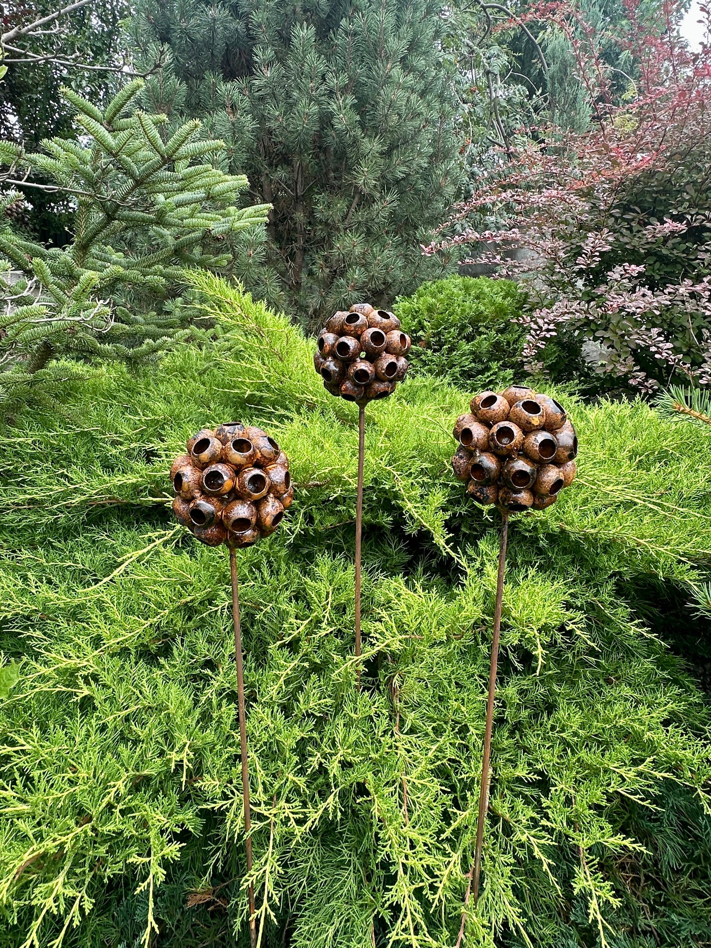 Set of 3 Rustic Metal Exotic Flowers, Garden Decorations, Rustic Landscaping, Garden Art, Bee and Butterflies Cups