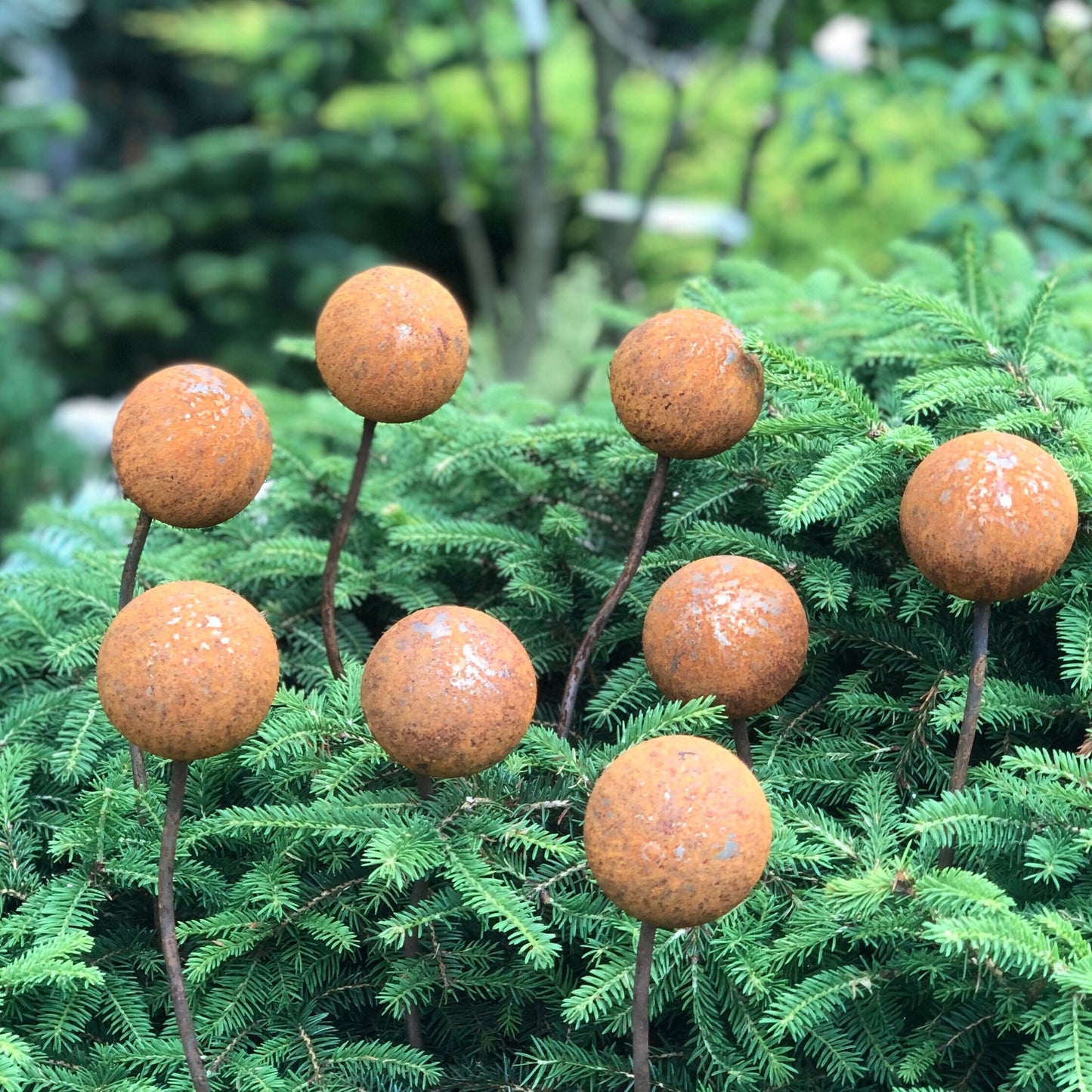 Rusty flowers set of 8, Metal garden decor, 8 Rusty flowers garden stakes, metal yard art, outdoor metal decor, Rusty metal garden decor