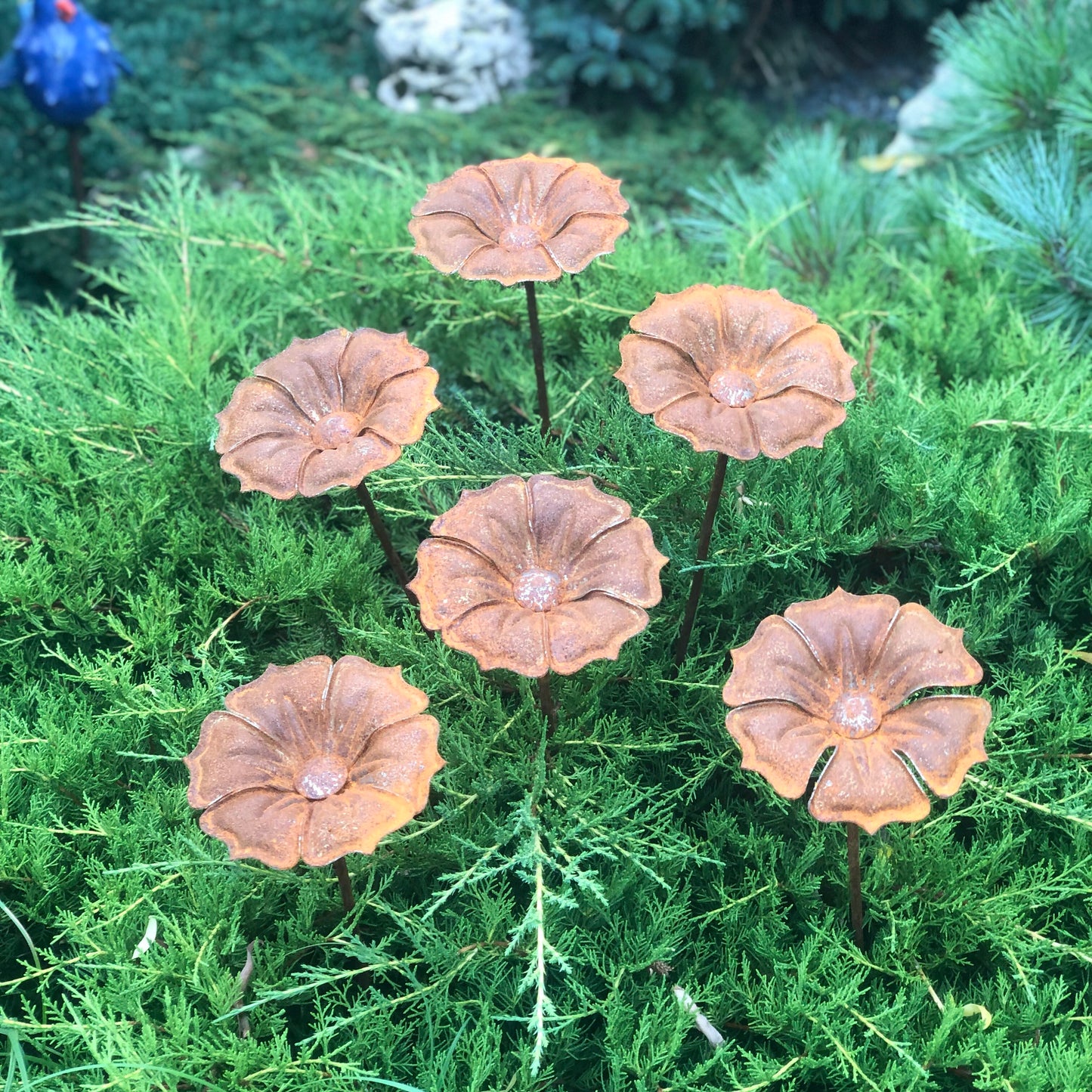 This Rusty metal garden art of 6 beautiful rusty metal flowers will place decorative accent in the garden compositions and landscape, create an atmosphere of romance and coziness in your home.