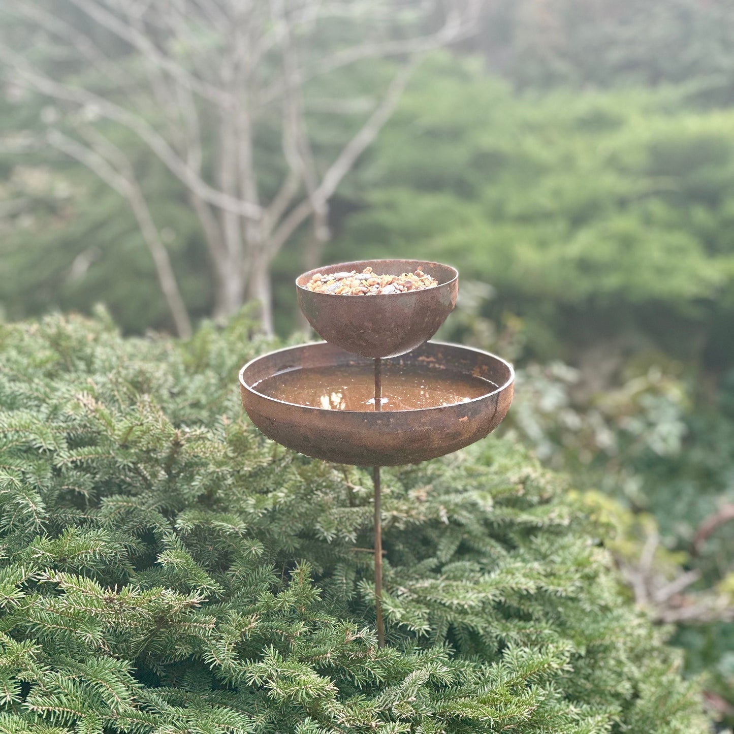 Rusty Metal Bird Feeder Garden Stakes, 8” Metal Rain Catchers