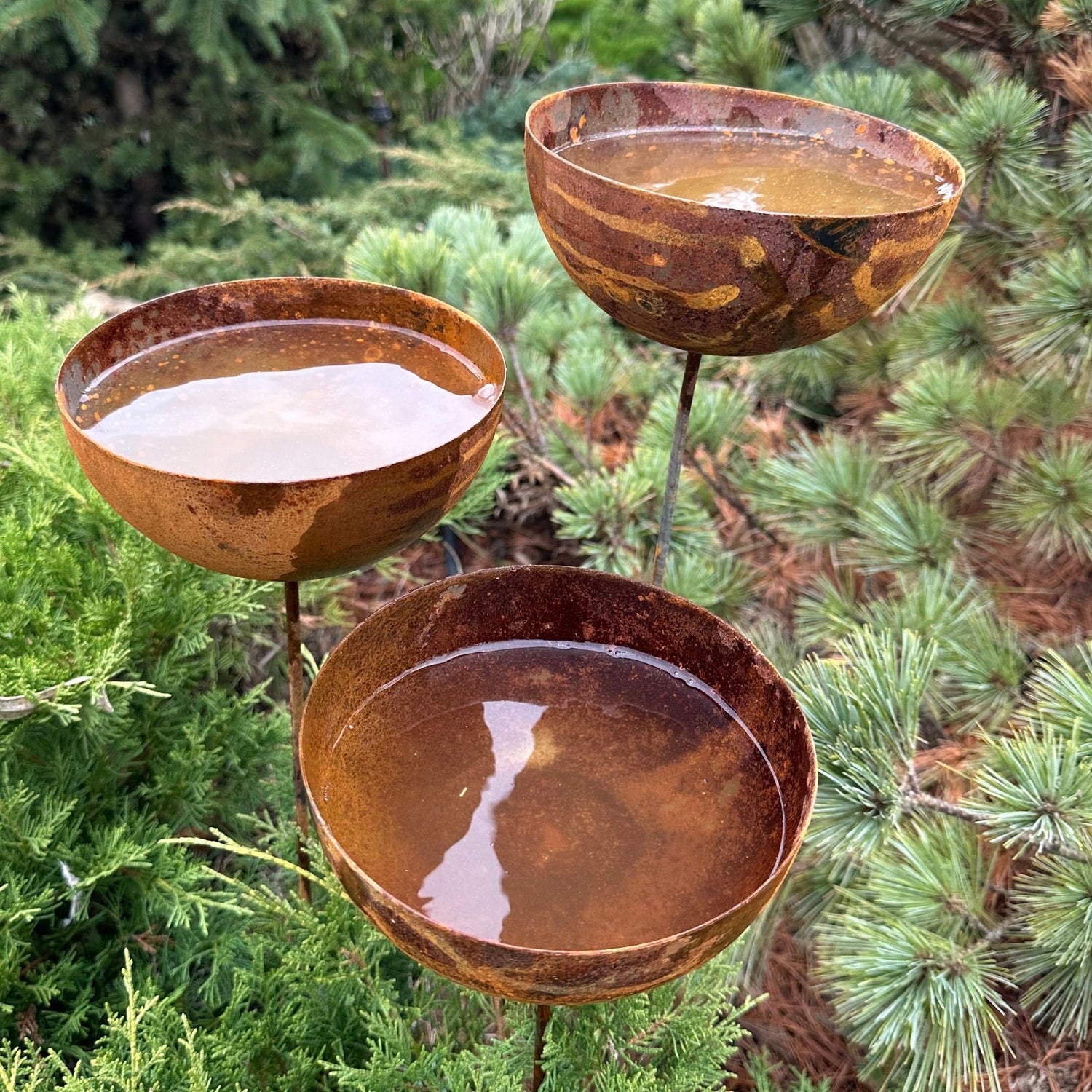 Rain Catchers Bird Bath