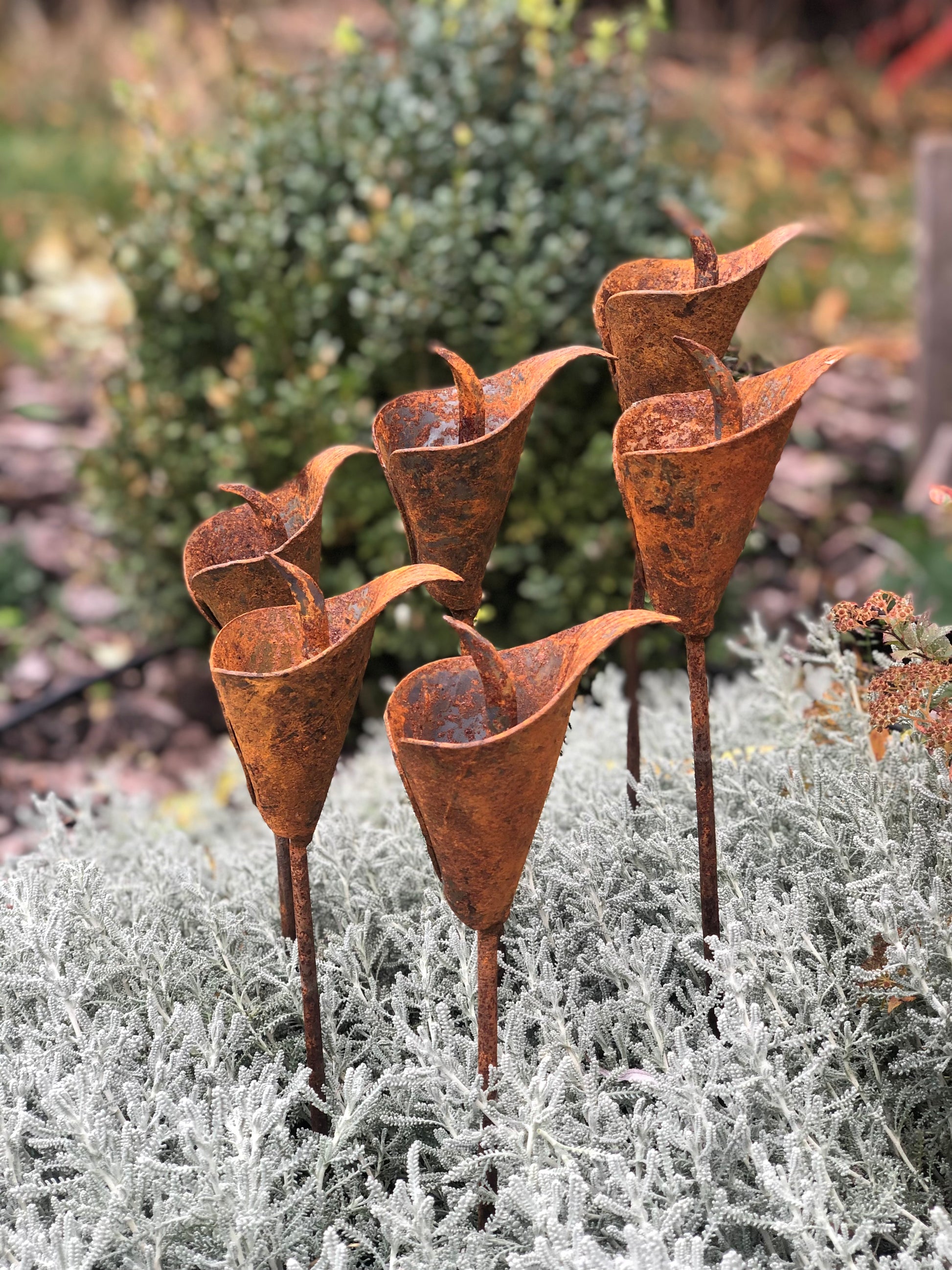 Rusty flowers set of 6, 6 Rusty flowers garden stakes, Metal garden decor, metal yard art, outdoor metal decor, Rusty metal garden decor