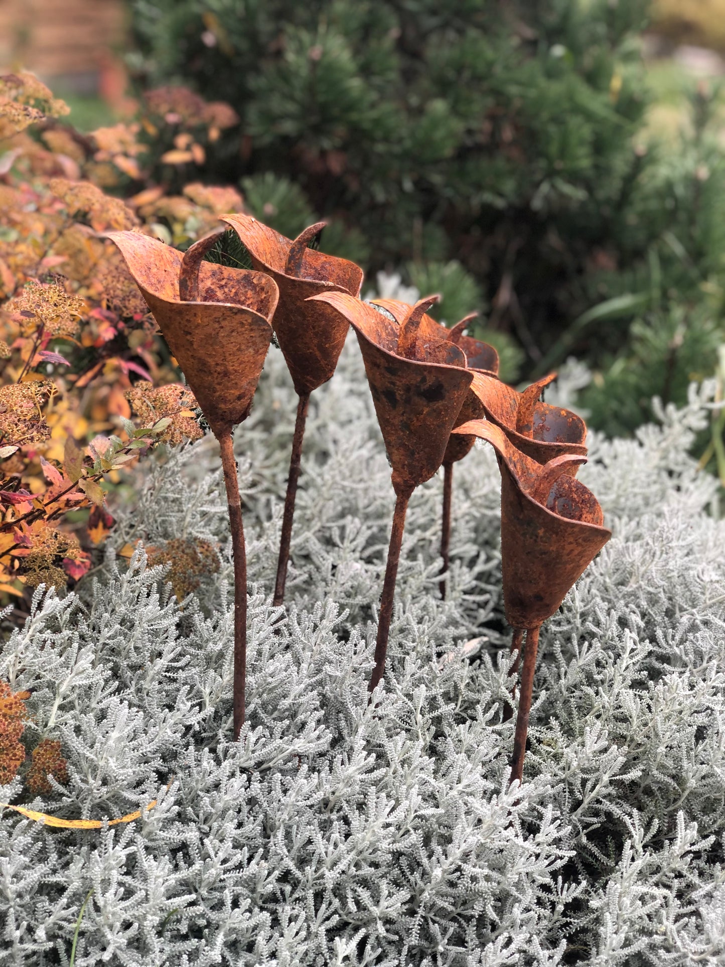 Rusty flowers set of 6, 6 Rusty flowers garden stakes, Metal garden decor, metal yard art, outdoor metal decor, Rusty metal garden decor