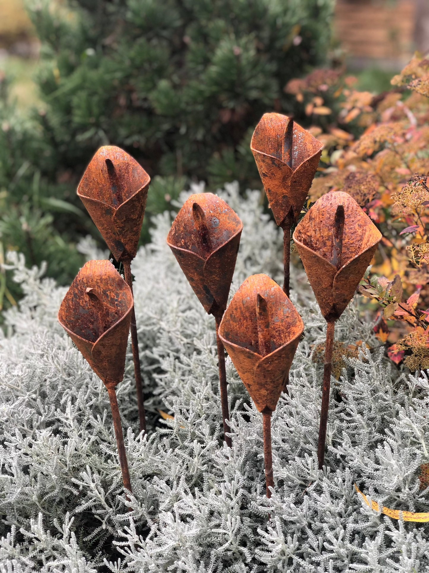 Rusty flowers set of 6, 6 Rusty flowers garden stakes, Metal garden decor, metal yard art, outdoor metal decor, Rusty metal garden decor