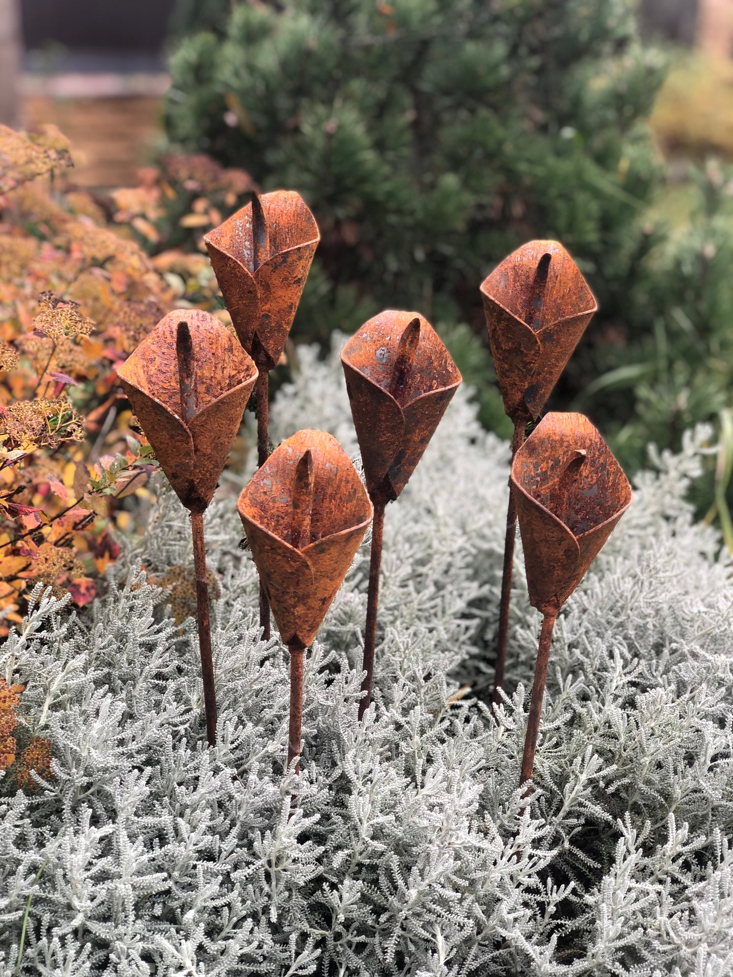 Rusty flowers set of 6, 6 Rusty flowers garden stakes, Metal garden decor, metal yard art, outdoor metal decor, Rusty metal garden decor