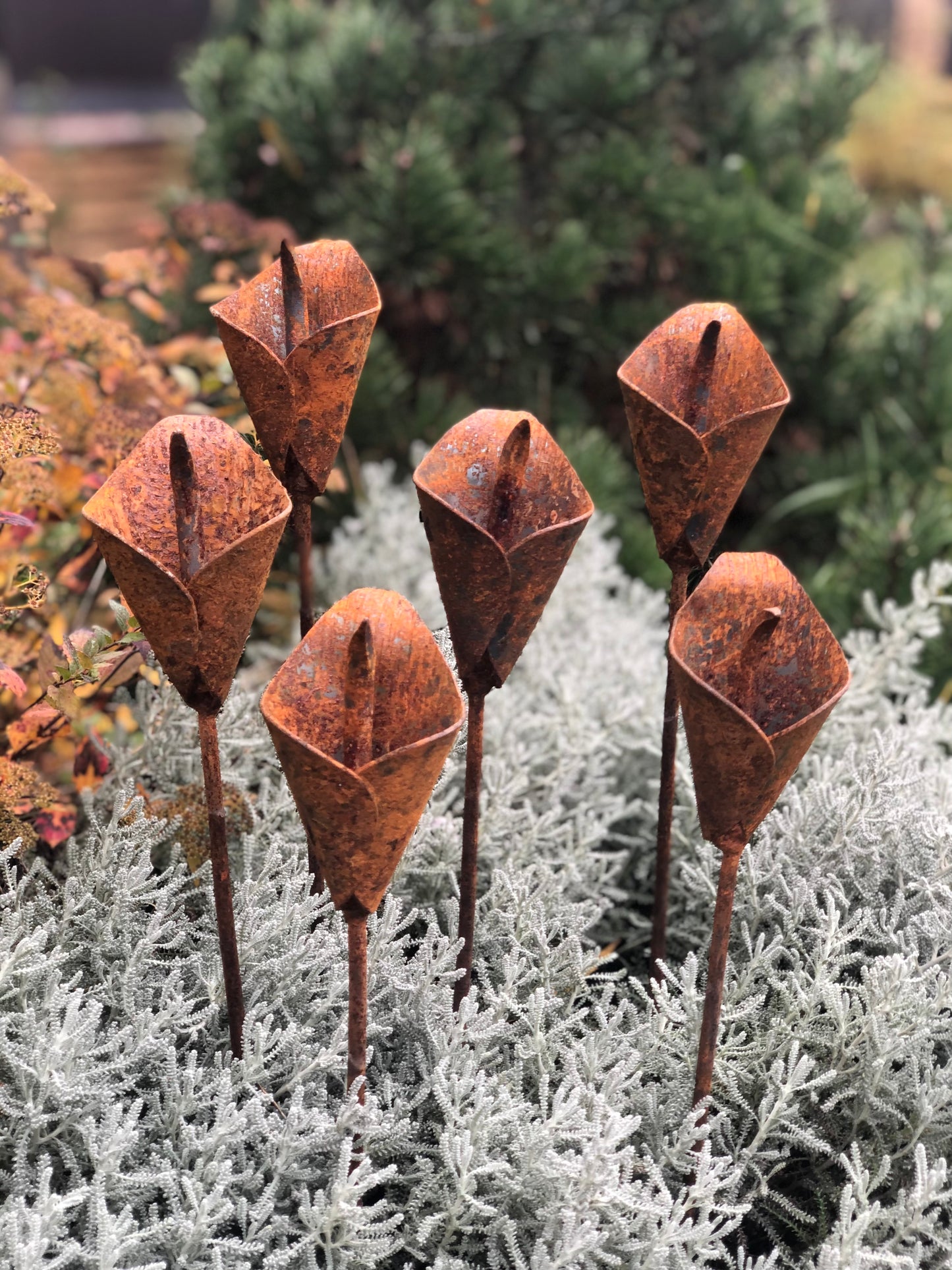 Rusty flowers set of 6, 6 Rusty flowers garden stakes, Metal garden decor, metal yard art, outdoor metal decor, Rusty metal garden decor