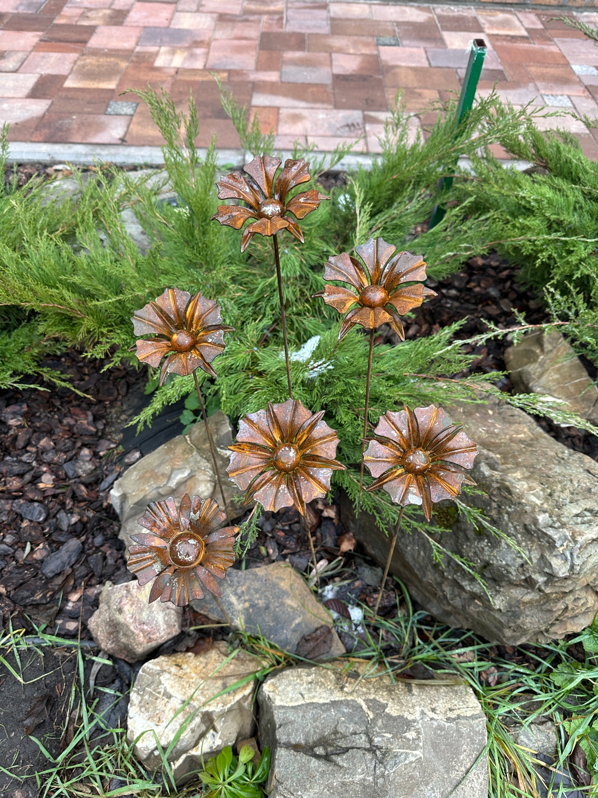 Rusty flowers set of 6, 6 Rusty flowers garden stakes, Metal garden decor, metal yard art, outdoor metal decor, Rusty metal garden decor