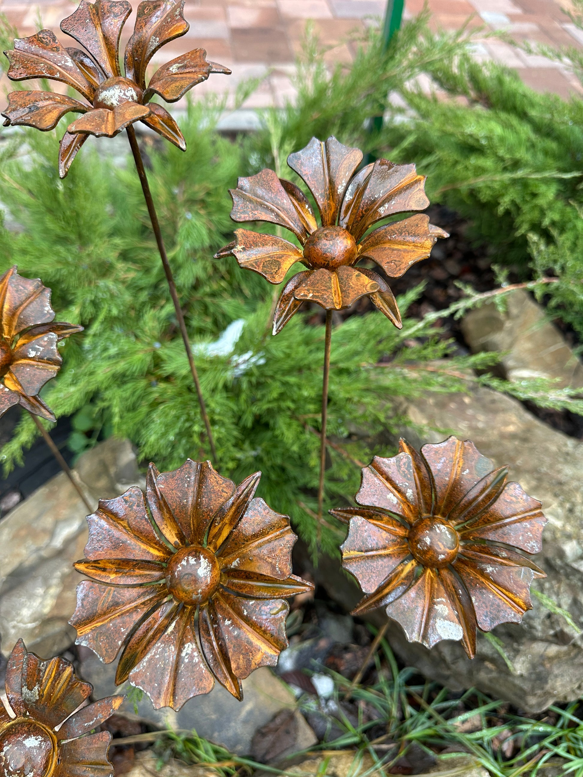 Rusty flowers set of 6, 6 Rusty flowers garden stakes, Metal garden decor, metal yard art, outdoor metal decor, Rusty metal garden decor