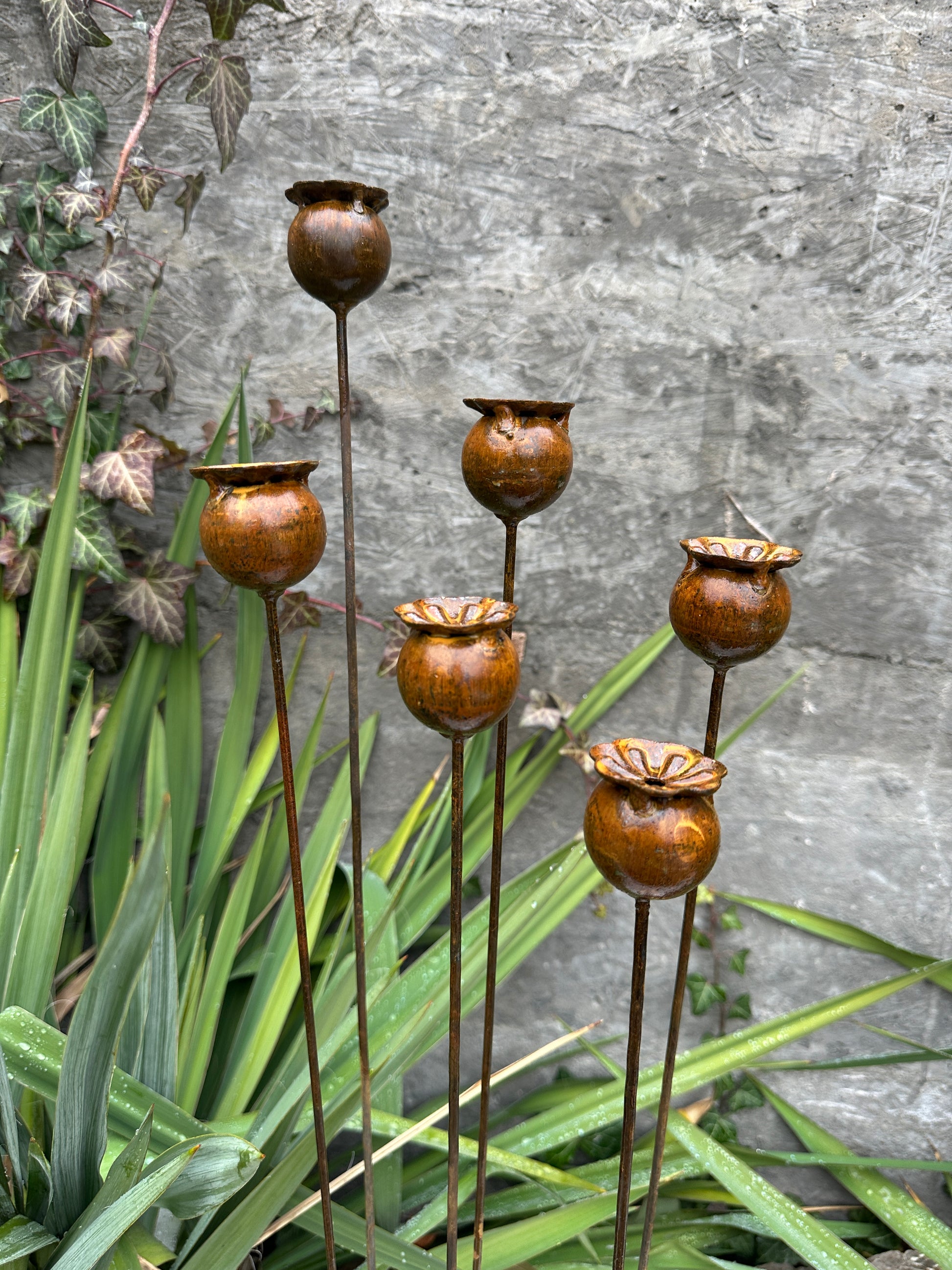 the rusted garden seed shop Poppy seeds head garden decor, Rusty flowers set of 6, Metal garden de – Pava Garden Boutique