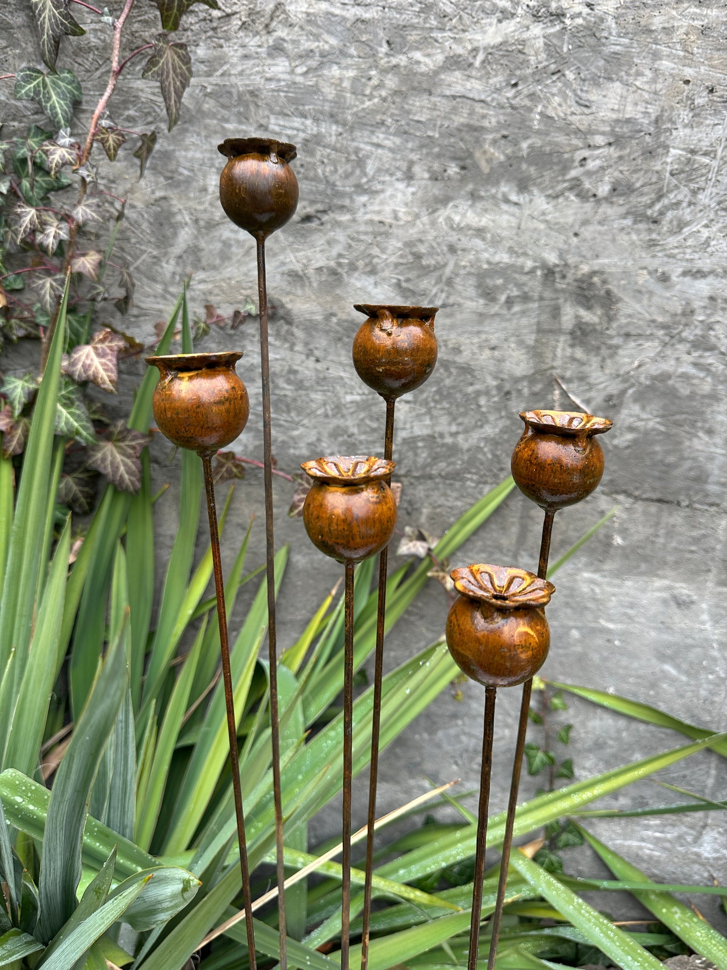 Poppy seeds head garden decor, Rusty flowers set of 6, Metal garden decor, metal yard art, outdoor metal decor, Rusty metal garden decor