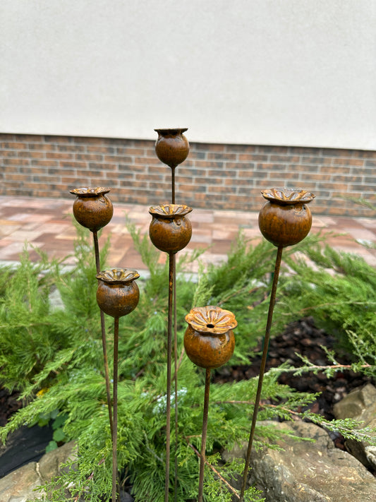 Poppy seeds head garden decor, Rusty flowers set of 6, Metal garden decor, metal yard art, outdoor metal decor, Rusty metal garden decor