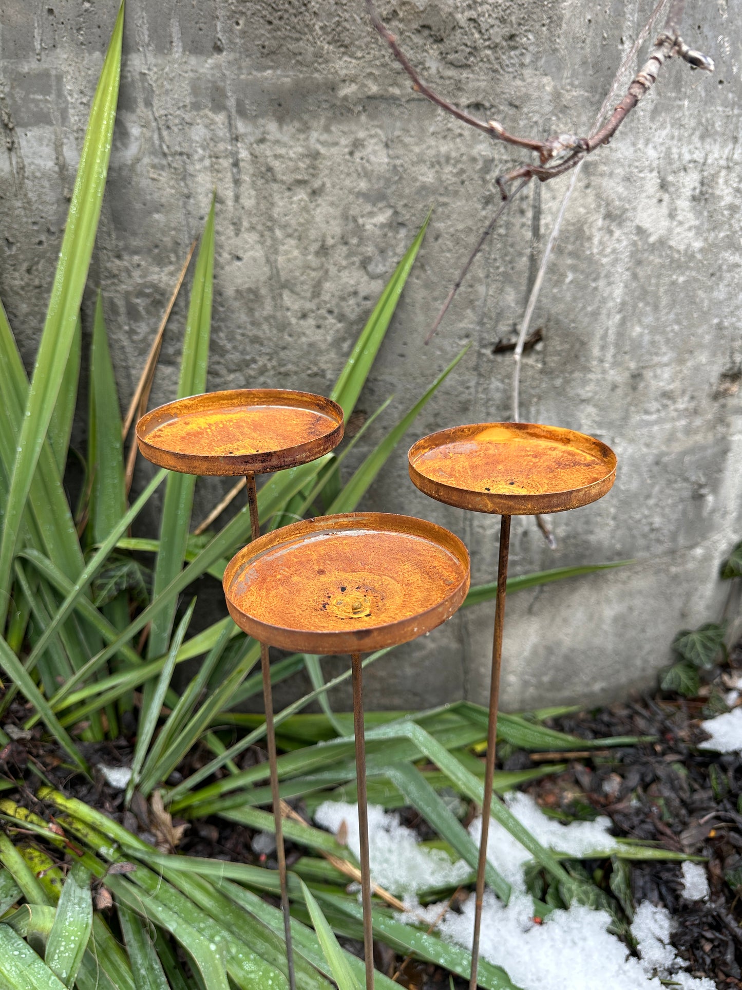 Rusty flower garden stakes, Metal rain catchers, Bird bath outdoor garden decor