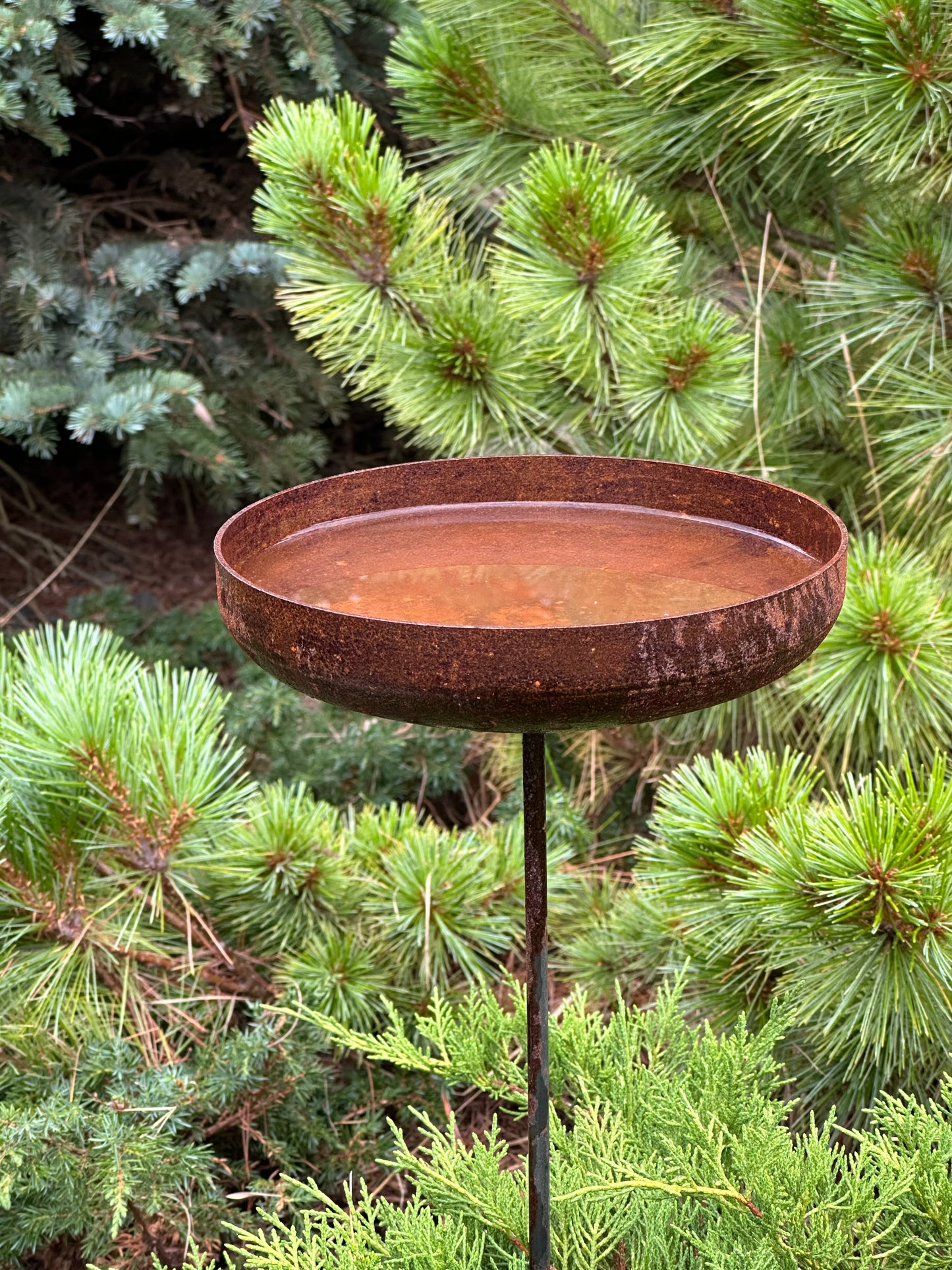 7” Rain catcher, Rusty metal flower garden stakes, Bird bath outdoor garden decor