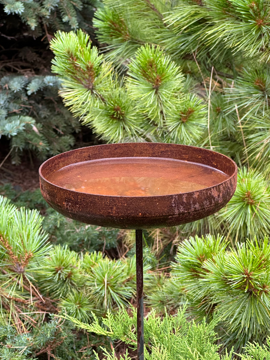 7” Rain catcher, Rusty metal flower garden stakes, Bird bath outdoor garden decor