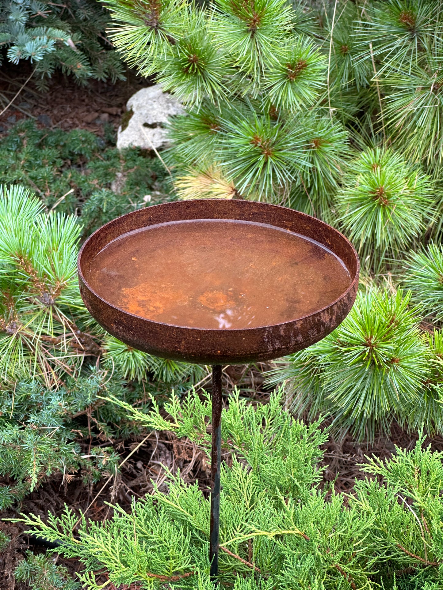 7” Rain catcher, Rusty metal flower garden stakes, Bird bath outdoor garden decor