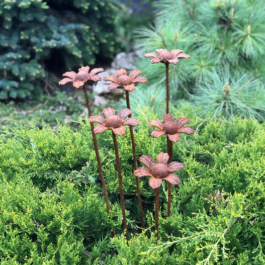 Rusty flowers set of 6, 6 Rusty flowers garden stakes, Metal garden decor, metal yard art, outdoor metal decor, Rusty metal garden decor